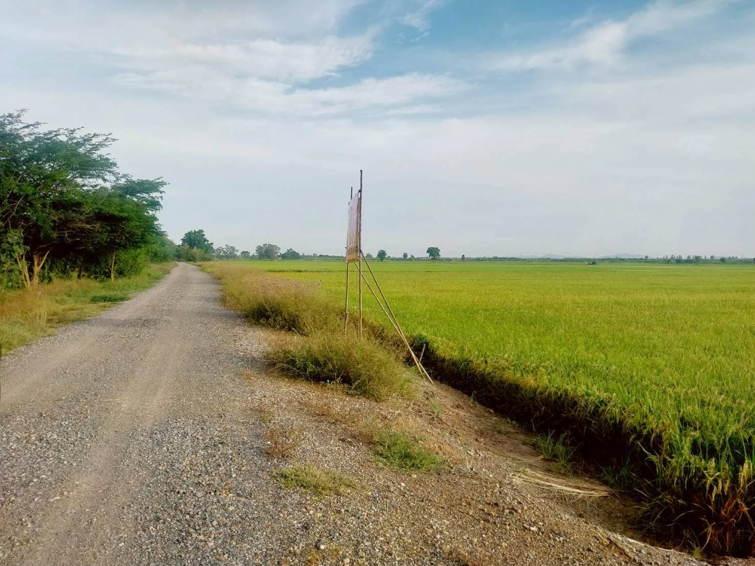 ขายที่ดินสวย 27-1-20 ไร่ ชานเมืองนครสวรรค์ เหมาะสร้างอยู่อาศัย ทำเกษตร จัดสรร บางพระหลวง เมืองนครสวรรค์ - image 6