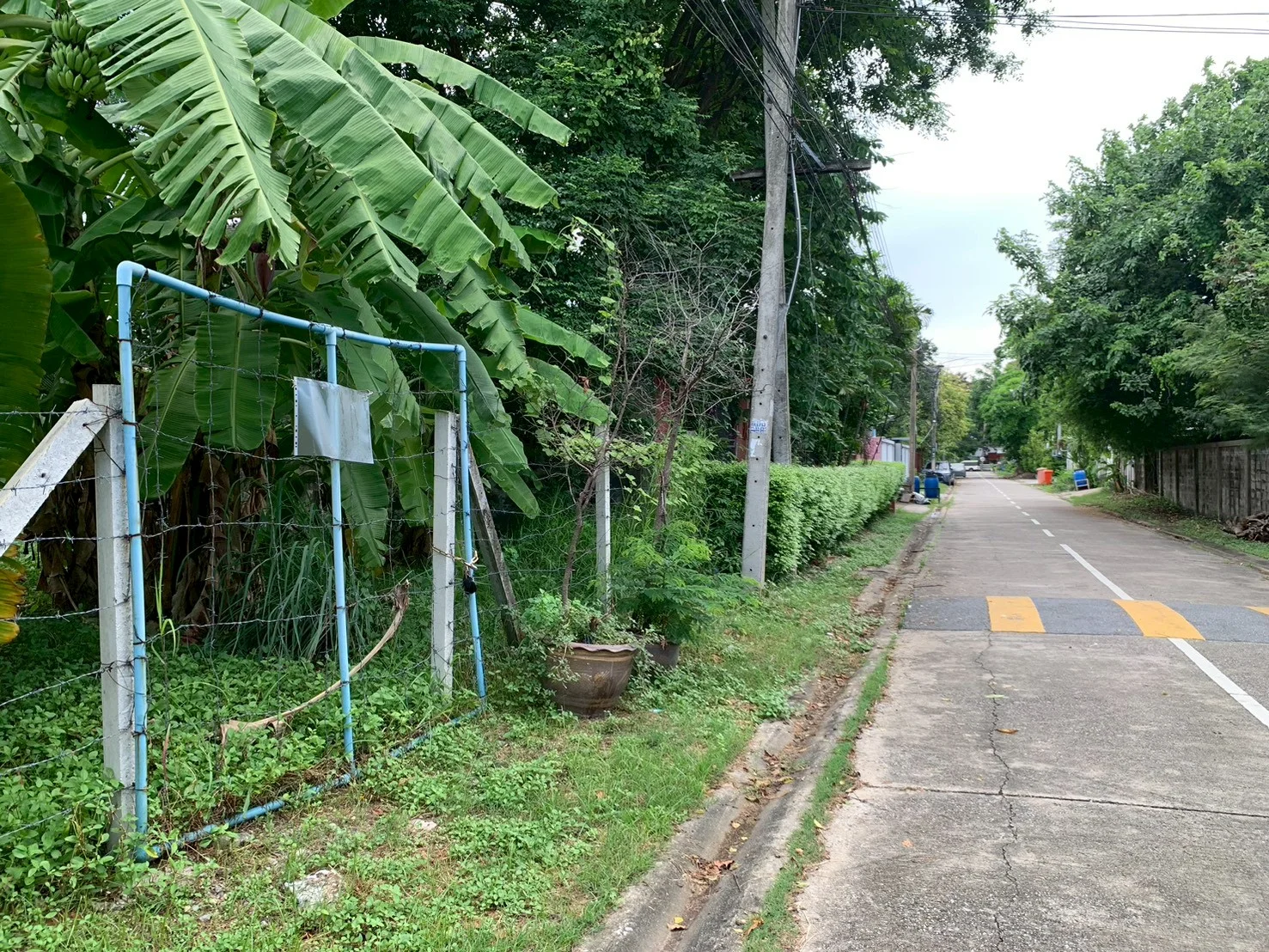 ขายที่ดิน 188 ตร.วา. รามอินทรา61 ในหมู่บ้านสวัสดิการนายทหาร ใกล้ MRT วัชรพล ถมแล้ว เงียบสงบ ปลอดภัย เหมาะสร้างบ้าน - image 5