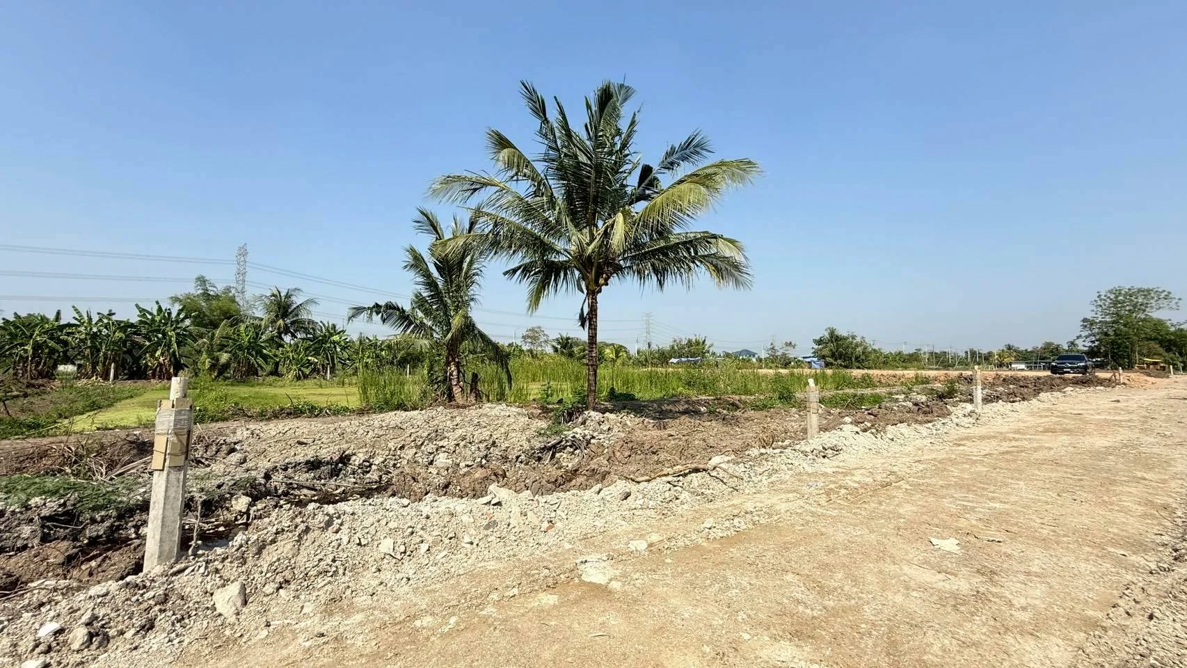 ขายด่วนที่ดิน 200 ตร.วา บึงขวาง3 แยก18 ใกล้โรงเรียนเตรียมอุดมศึกษาพัฒนาการสุวรรณภูมิ มีนบุรี ZT905 - image 2