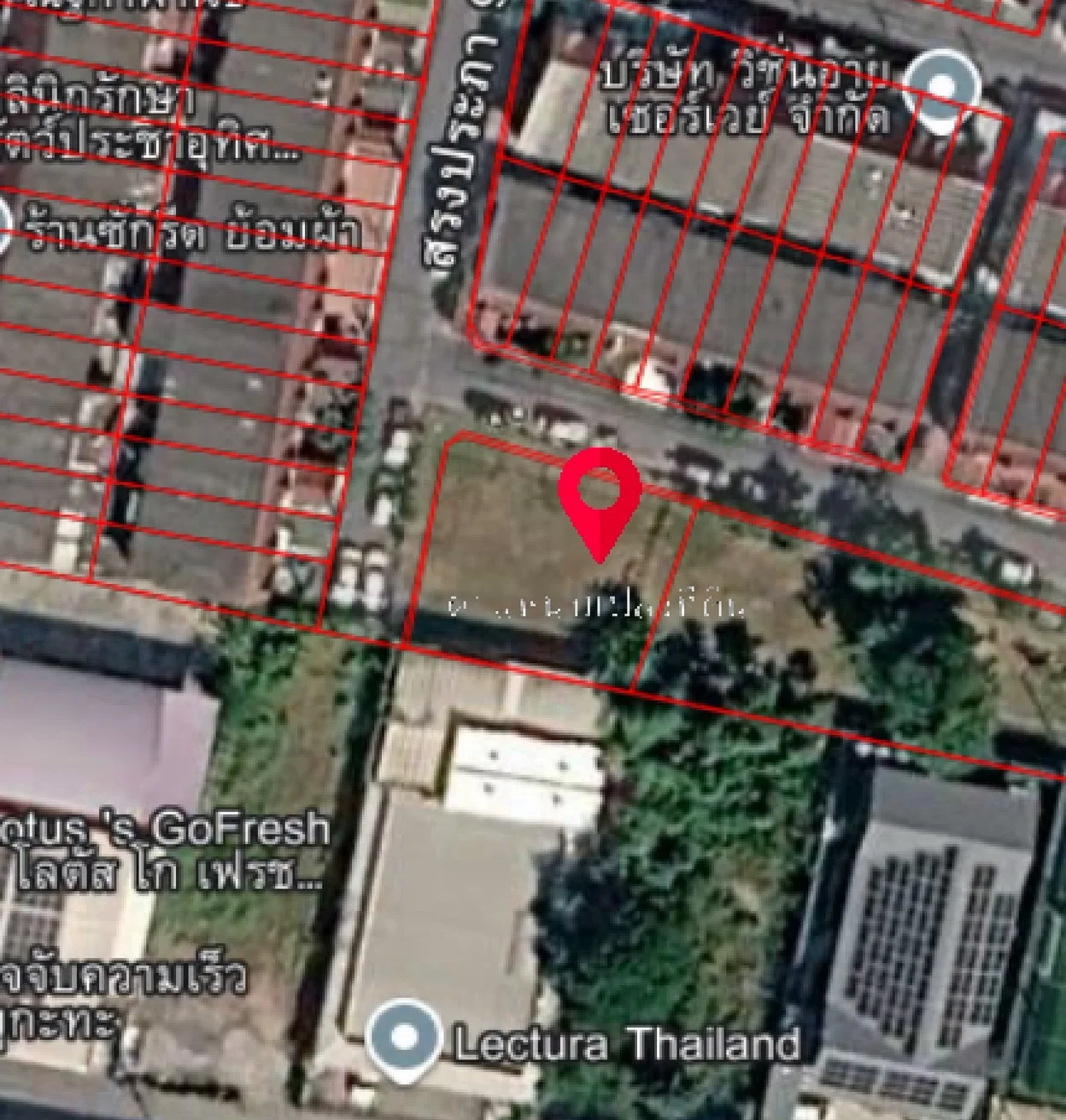 ขายที่ดิน 100 ตารางวา แปลงมุม ซอยสรงประภา9  ทุ่งสองห้อง  ดอนเมือง    ZT894  - image 6