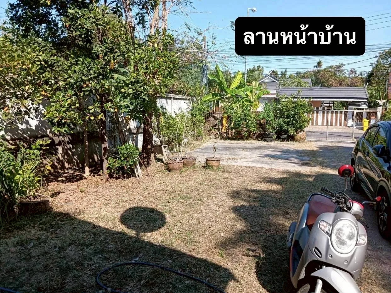ขายที่ดิน พร้อมสิ่งปลูกสร้าง เนื้อที่ 154 ตารางวา เมืองชัยภูมิ  ติดถนน 2 เลน (นิเวศรัตน์-ปรางค์) ห่างจากโบราณสถานปรางค์กู่ 200เมตร     ZJ189  - image 4
