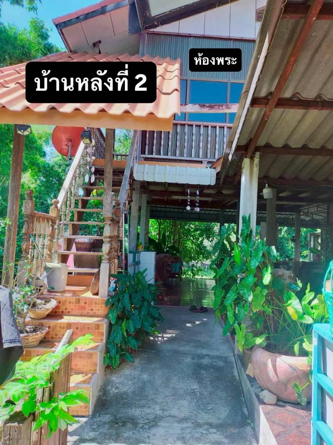 ขายที่ดิน พร้อมสิ่งปลูกสร้าง เนื้อที่ 154 ตารางวา เมืองชัยภูมิ  ติดถนน 2 เลน (นิเวศรัตน์-ปรางค์) ห่างจากโบราณสถานปรางค์กู่ 200เมตร     ZJ189  - image 6