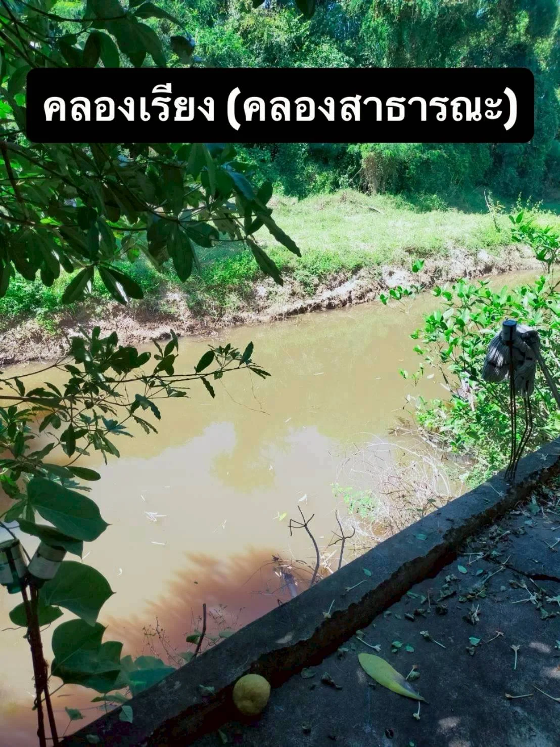 ขายที่ดิน พร้อมสิ่งปลูกสร้าง เนื้อที่ 154 ตารางวา เมืองชัยภูมิ  ติดถนน 2 เลน (นิเวศรัตน์-ปรางค์) ห่างจากโบราณสถานปรางค์กู่ 200เมตร     ZJ189  - image 8