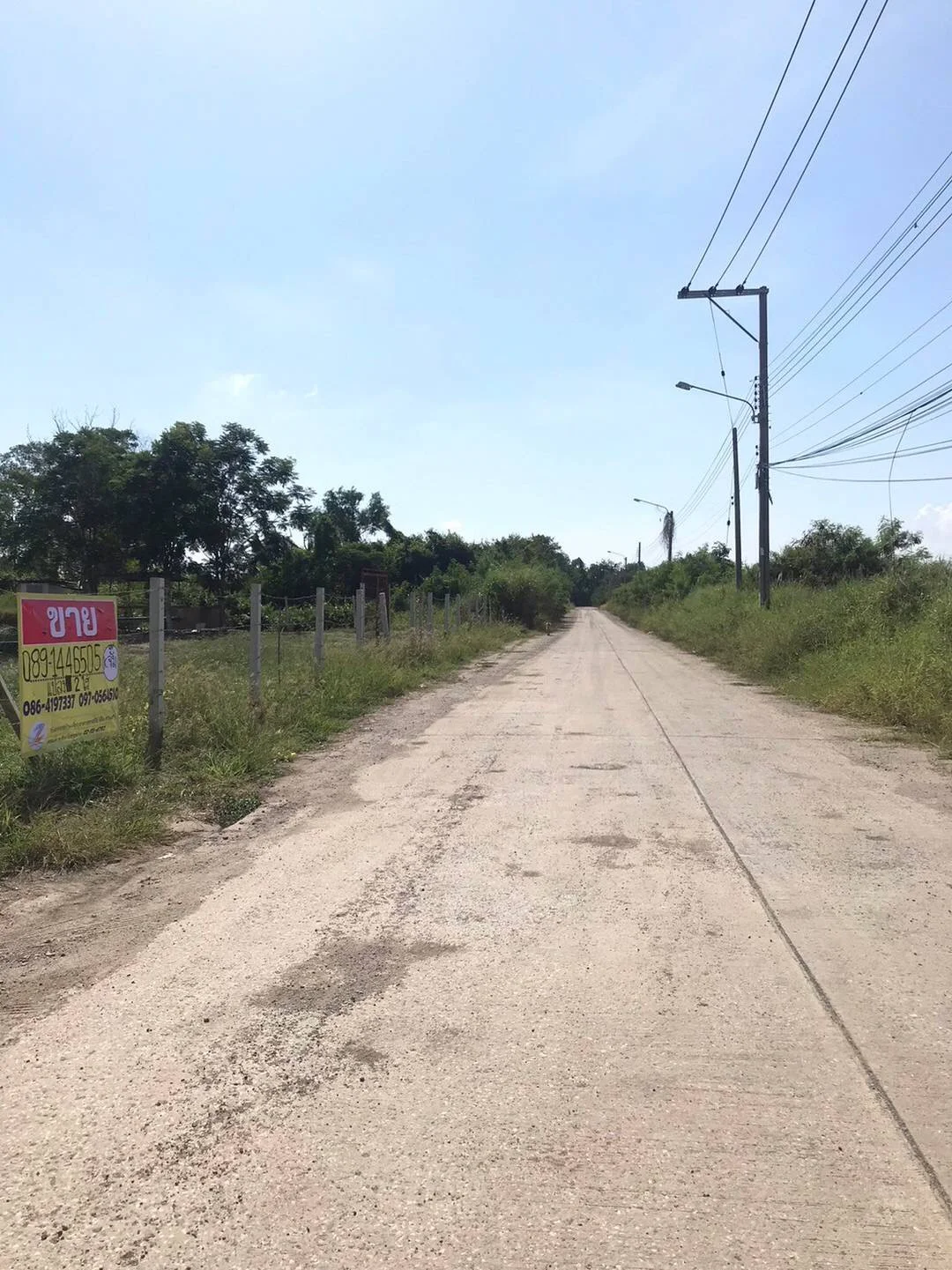 ขายที่ดิน 2 ไร่ ซอยบางนาการ์เด้น9  บางนา-ตราด กม.26  ใกล้เอแบคบางนา    ZJ184 - image 3