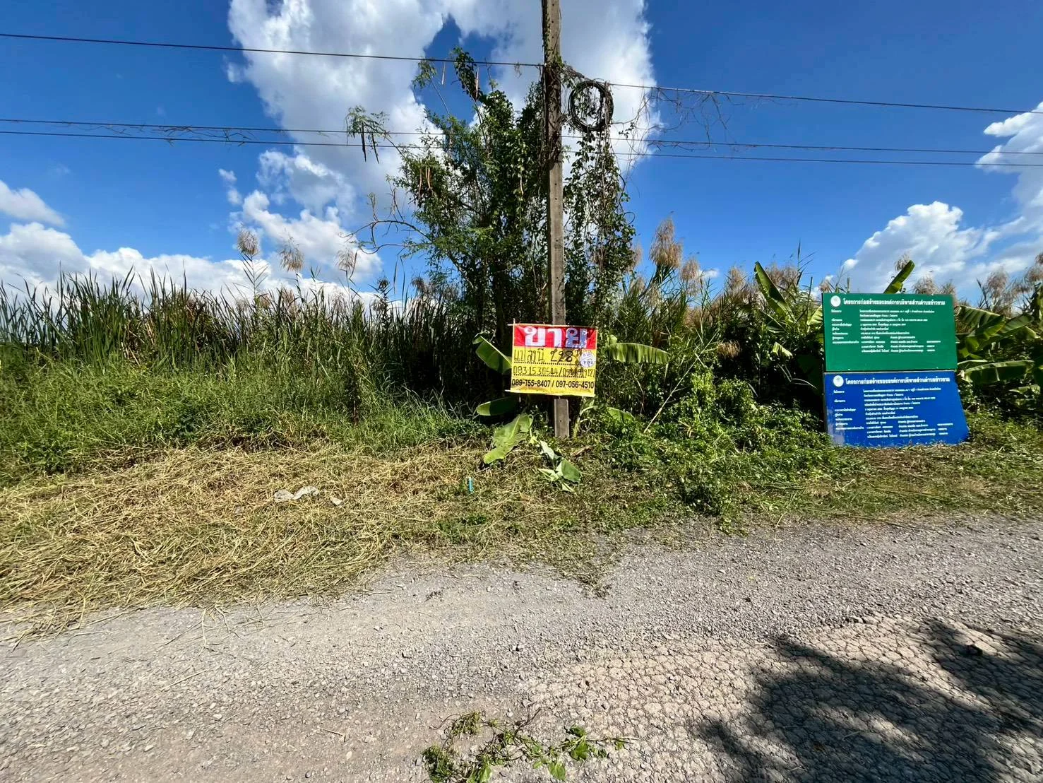 ขายที่ดินถมแล้ว  228 ตร.วา.  วังน้อย อยุธยา  ทำเลดีใกล้ถนนพหลโยธินขาเข้ากรุงเทพ    ZE604 - image 2