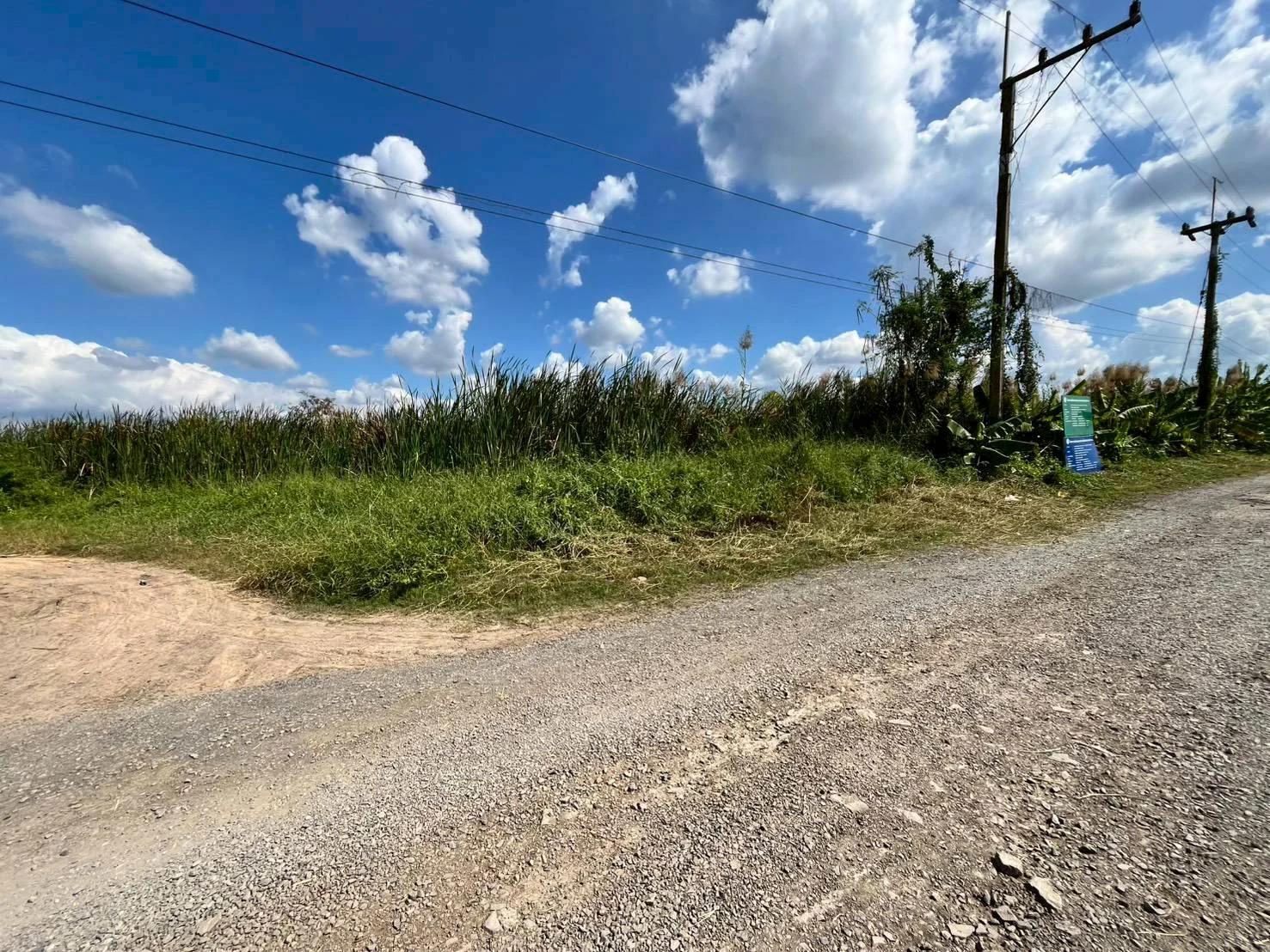 ขายที่ดินถมแล้ว  228 ตร.วา.  วังน้อย อยุธยา  ทำเลดีใกล้ถนนพหลโยธินขาเข้ากรุงเทพ    ZE604 - image 4