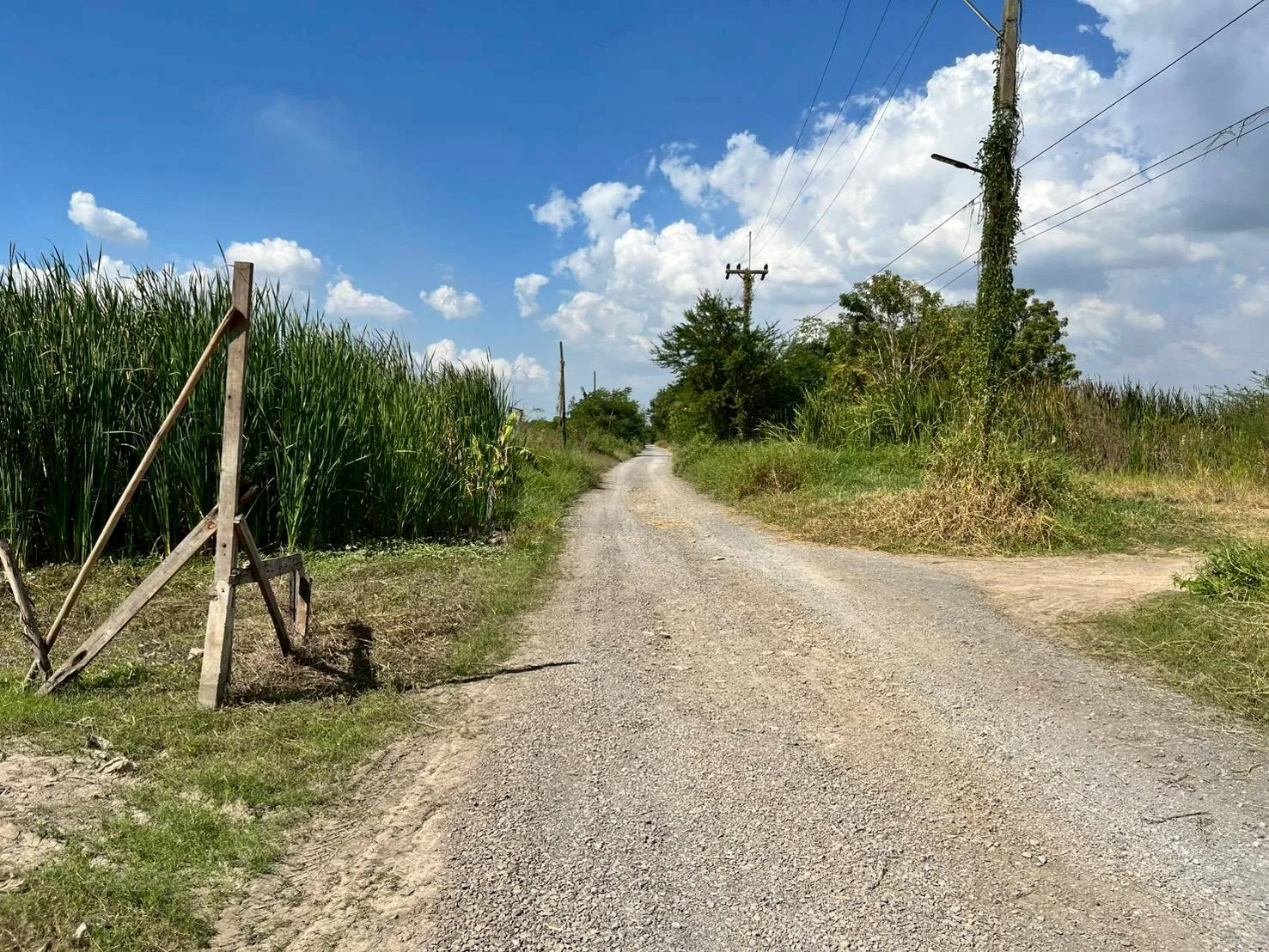 ขายที่ดินถมแล้ว  228 ตร.วา.  วังน้อย อยุธยา  ทำเลดีใกล้ถนนพหลโยธินขาเข้ากรุงเทพ    ZE604 - image 7