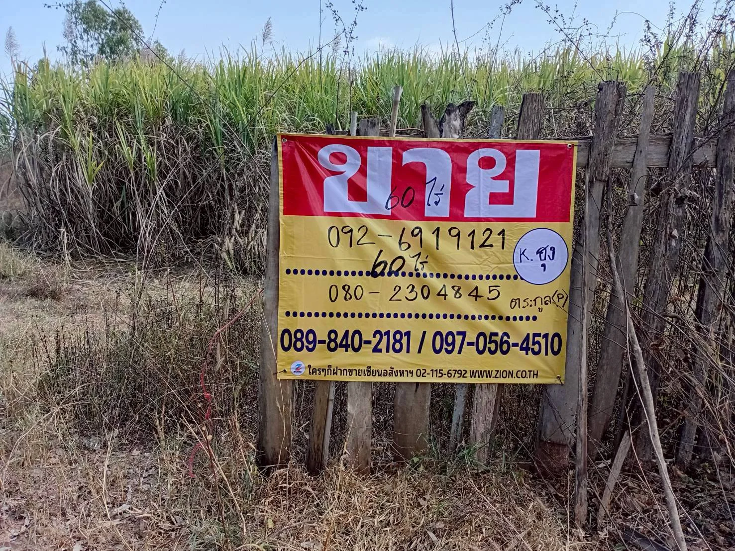 ขายที่ดินไร่อ้อย 60 ไร่ ดงมะไฟ เมืองสกล เหมาะทำเกษตรกรรม ZE603