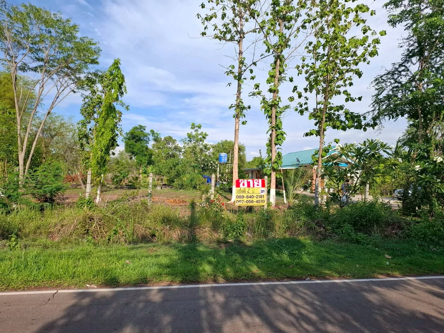 ขายบ้านสวยพร้อมอยู่ 2 ไร่ บ้านคุยนางขาว ใกล้ อบต.หนองกอมเกาะ เมืองหนองคาย - image 8