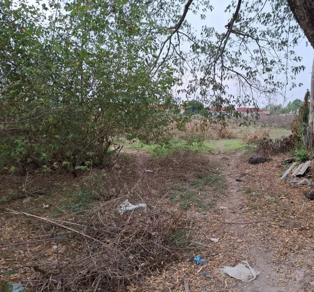 ขายที่ดิน 54 ตร.วา ใกล้โรงเรียนมัธยมศิริวัณวรี เชียงพิน  เมืองอุดรธานี   ZP170 - image 2