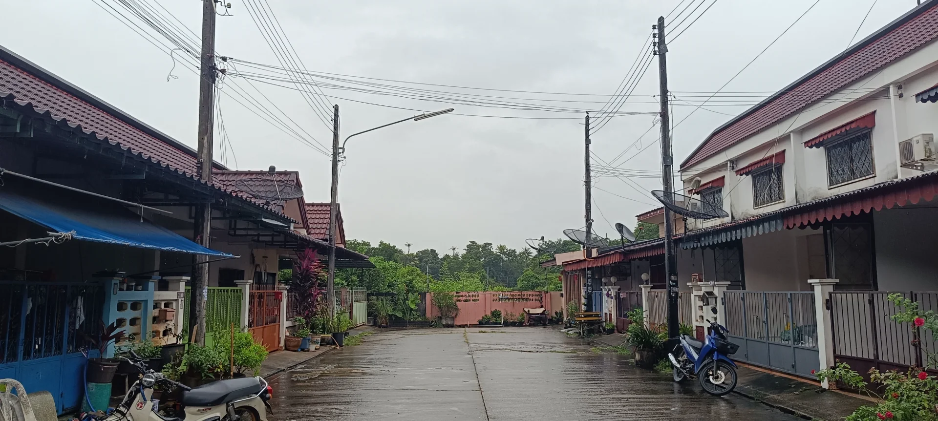 ขายทาวน์เฮ้าส์ ชั้นเดียว 24 ตรว.  หมู่บ้านปอนด์ทอง  ถนนจริงจิตร   ตรัง    ZST211 - image 2