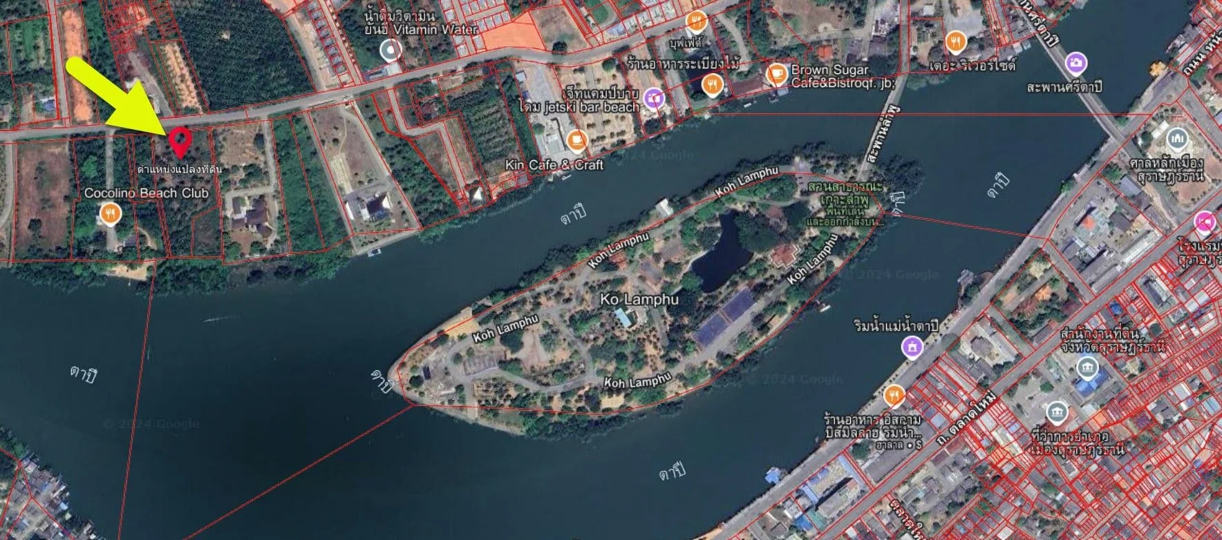 ขายที่ดินเกาะลำพู 5-2-71 ไร่ ติดแม่น้ำตาปี บางใบไม้ เมืองสุราษฎร์ธานี ZST206 - image 5