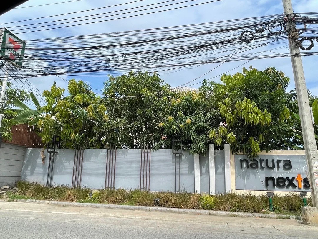 ขายบ้านเดี่ยว 60.5 ตร.วา 3 ห้องนอน 2 ห้องน้ำ หมู่บ้านพฤกษาเนเชอร่า ถนนบางนา-ตราด กม.5 ใกล้เมกาบางนา ZY254 - image 10
