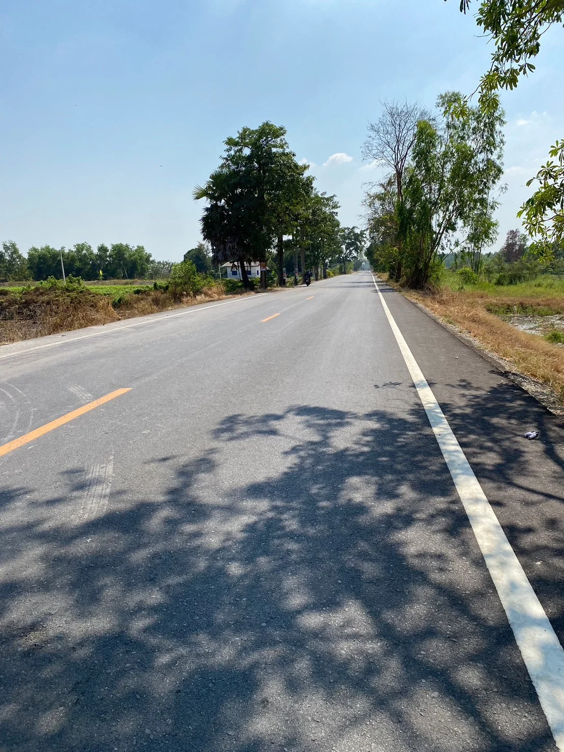 ขายที่ดิน7-3-31 ไร่ คลอง15 หน้าติดถนน หลังติดคลองบางบัวใหญ่ บางปลากด องครักษ์ นครนายก ZY250 - image 6
