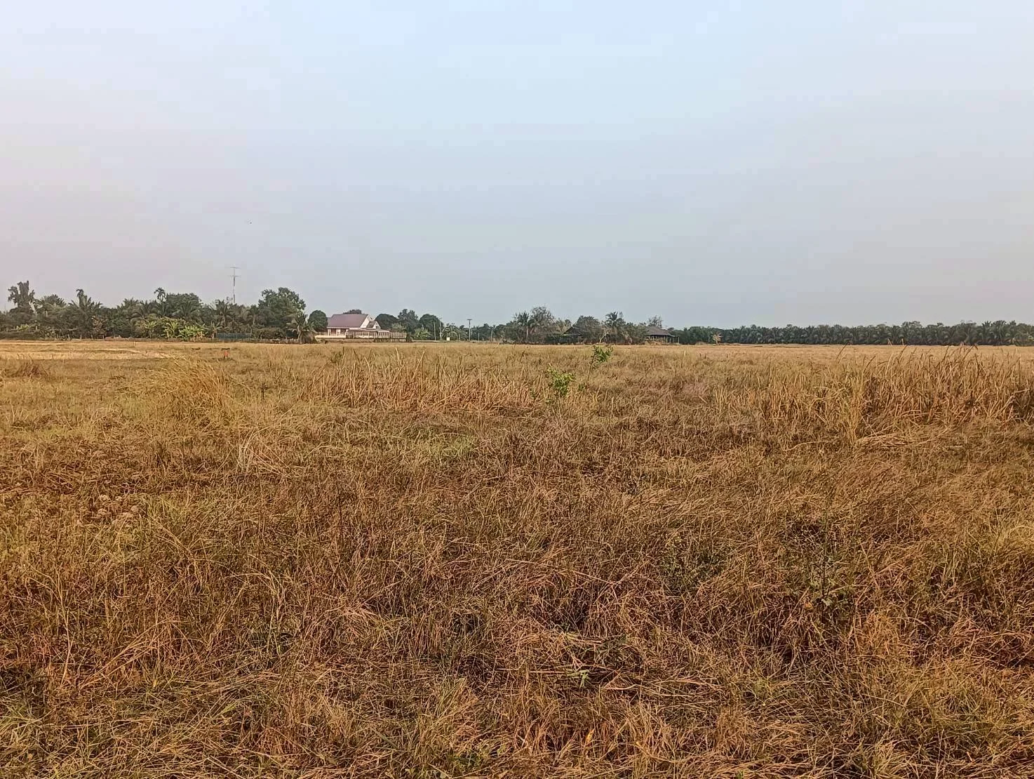 ขายที่ดิน 3-3-0 ไร่ ทำเลดี ทำเลทองคำ สี่แยกห้วยชินสีห์ คูบัว เมืองราชบุรี ZW647 - image 2