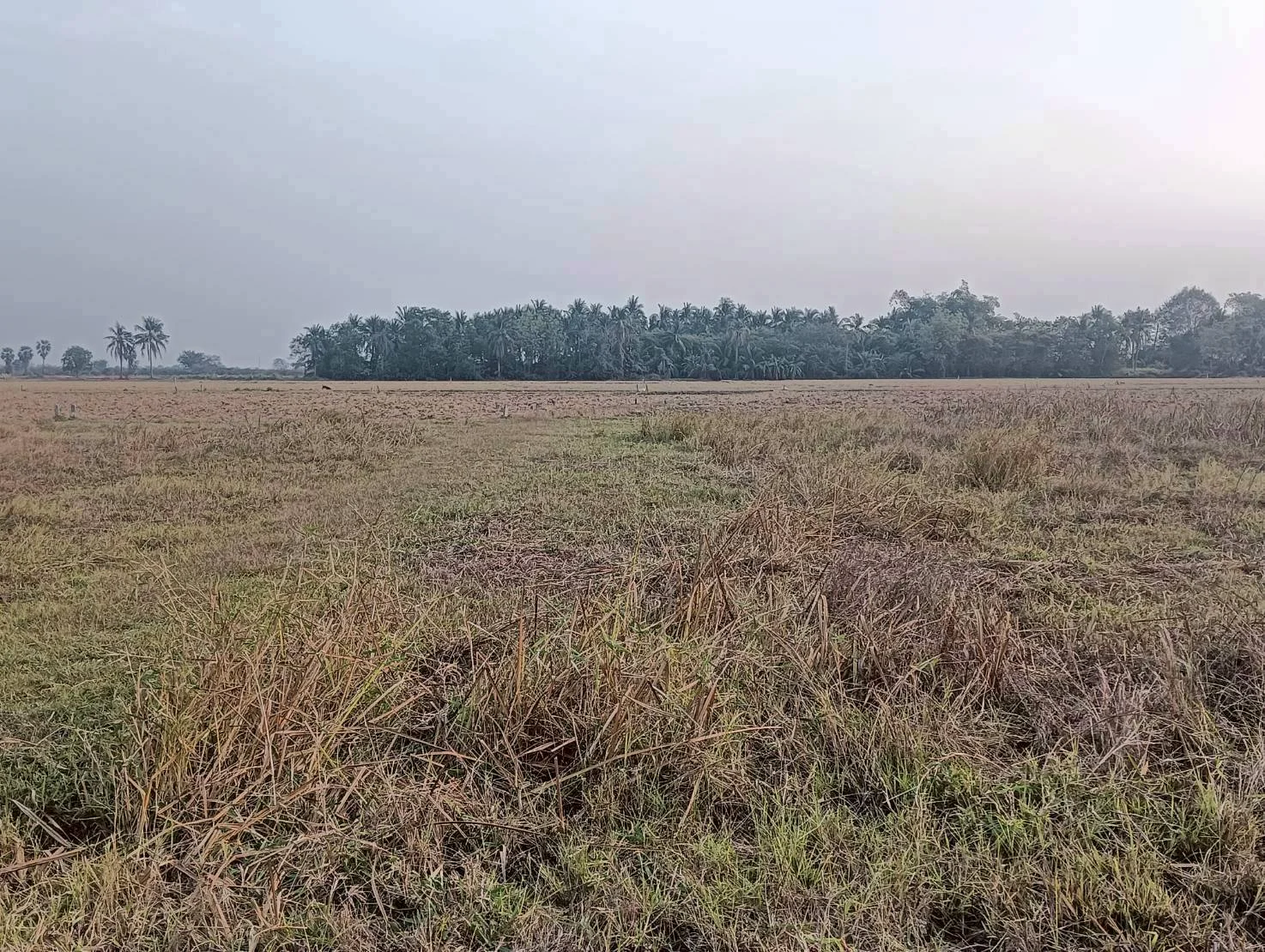 ขายที่ดิน 3-3-0 ไร่ ทำเลดี ทำเลทองคำ สี่แยกห้วยชินสีห์ คูบัว เมืองราชบุรี ZW647 - image 5