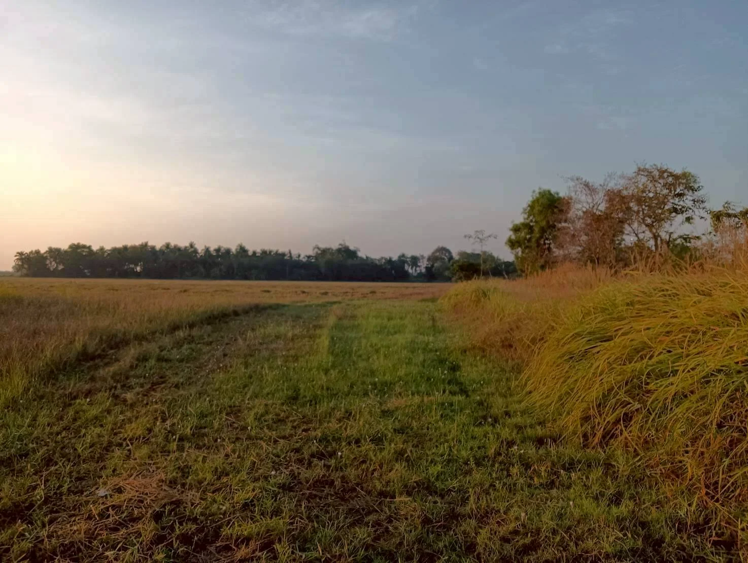 ขายที่ดิน 3-3-0 ไร่ ทำเลดี ทำเลทองคำ สี่แยกห้วยชินสีห์ คูบัว เมืองราชบุรี ZW647 - image 6