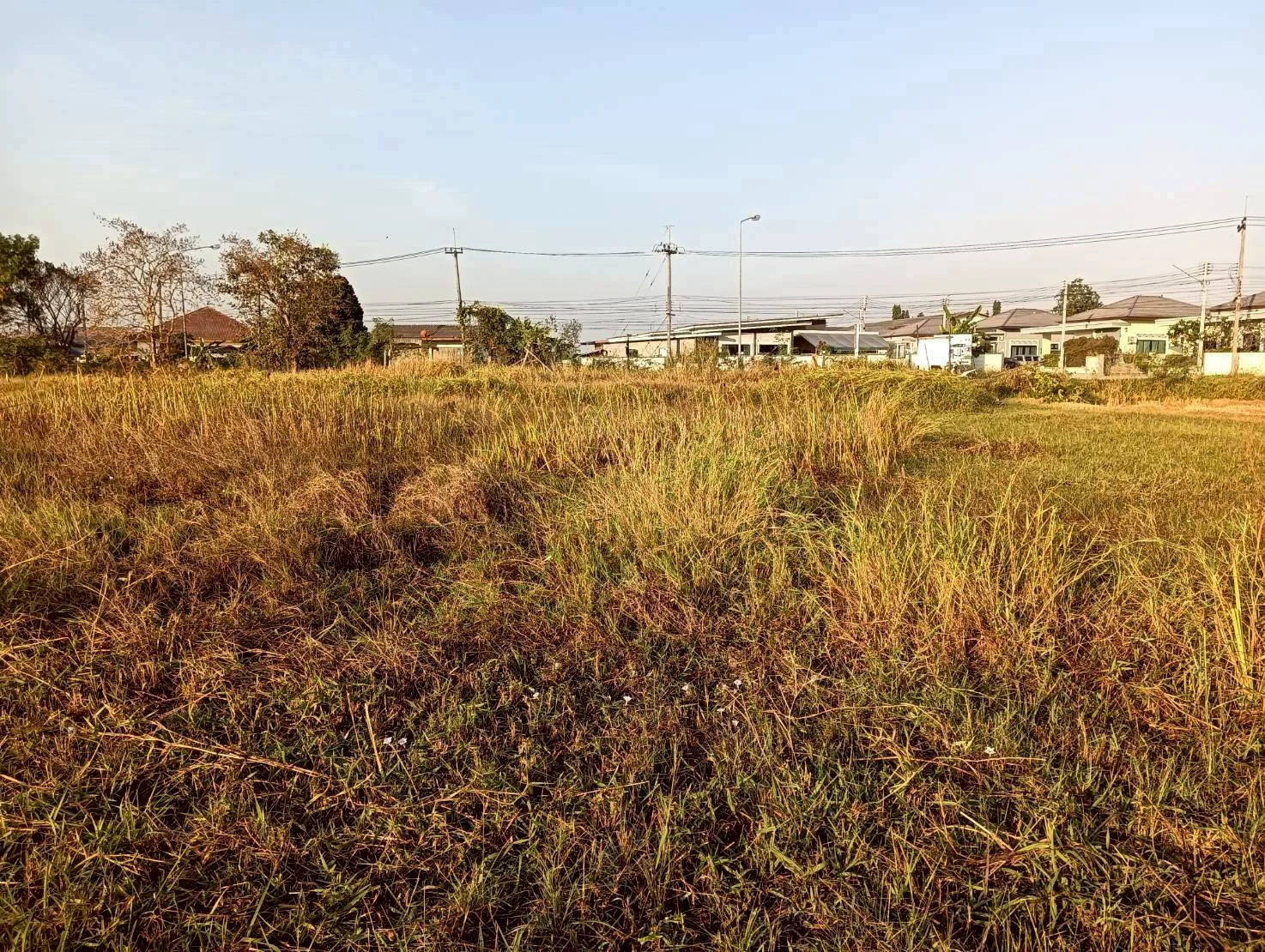 ขายที่ดิน 3-3-0 ไร่ ทำเลดี ทำเลทองคำ สี่แยกห้วยชินสีห์ คูบัว เมืองราชบุรี ZW647 - image 8
