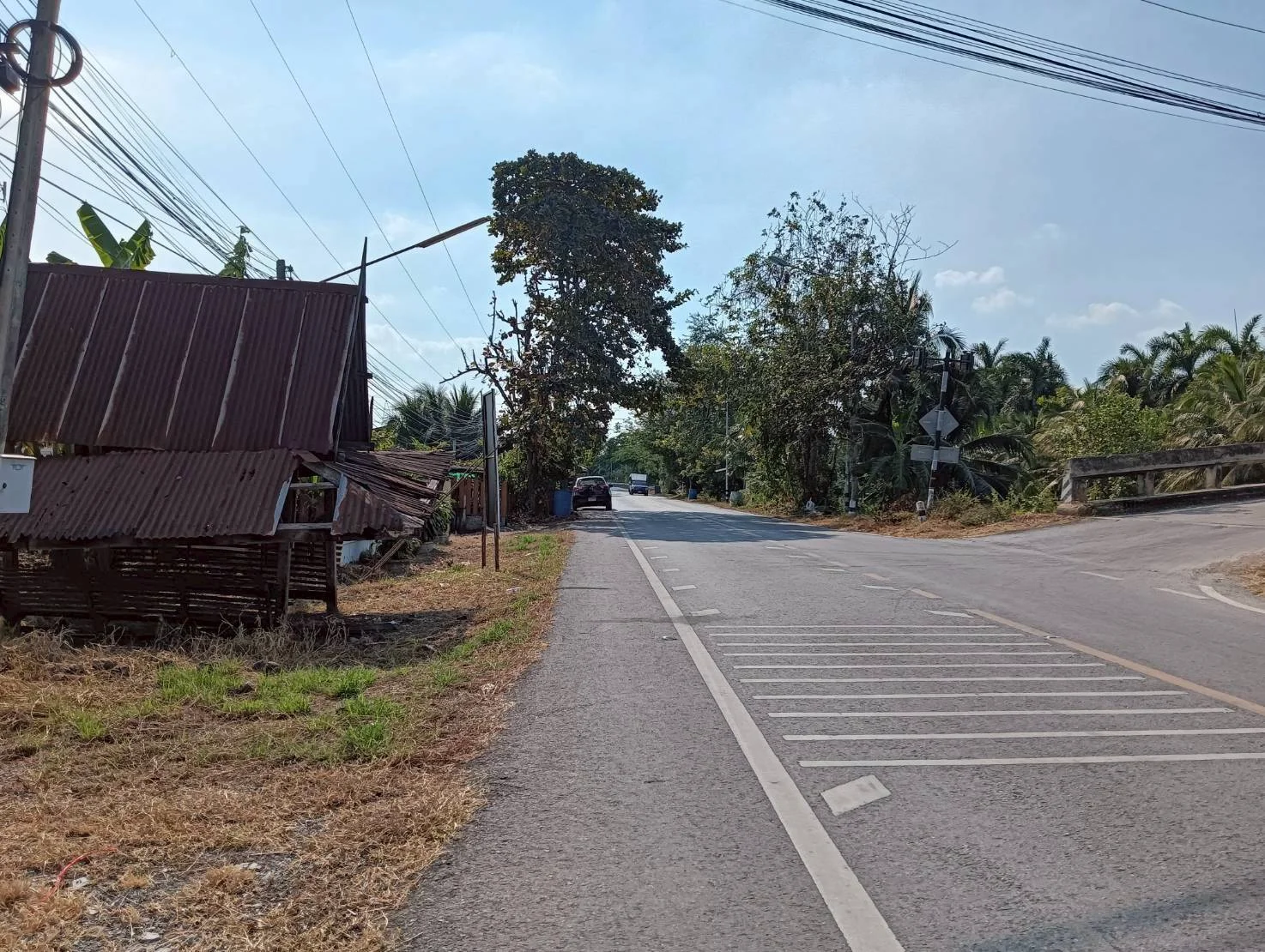 ขายที่ดิน 200 วา ทำเลดี ติดถนน ธรรมชาติ บ้านแพ้ว นางตะเคียน เมืองสมุทรสงคราม ZW630 - image 5