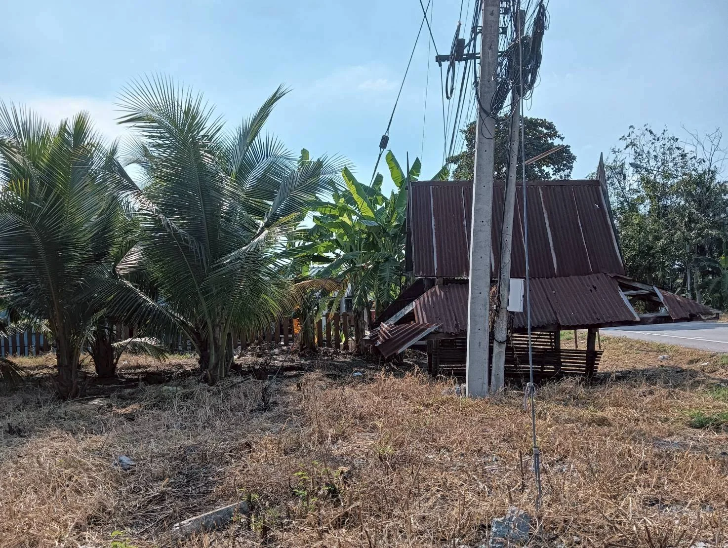 ขายที่ดิน 200 วา ทำเลดี ติดถนน ธรรมชาติ บ้านแพ้ว นางตะเคียน เมืองสมุทรสงคราม ZW630 - image 8