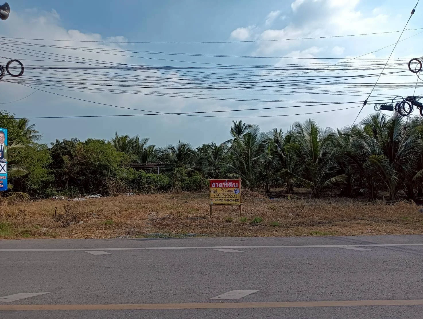 ขายที่ดิน 200 วา ทำเลดี ติดถนน ธรรมชาติ บ้านแพ้ว นางตะเคียน เมืองสมุทรสงคราม ZW630