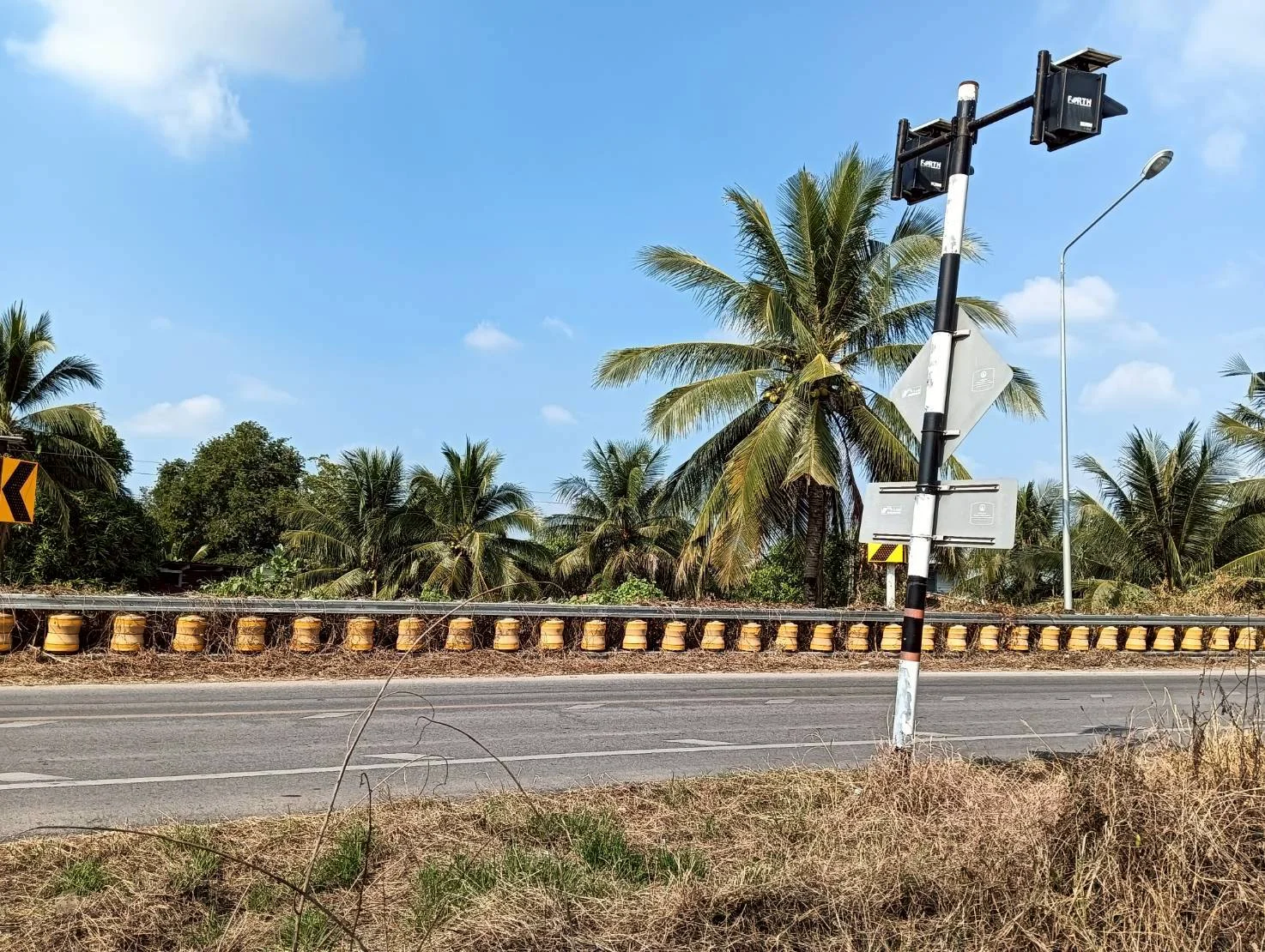 ขายที่ดิน 200 วา ทำเลดี ติดถนน ธรรมชาติ บ้านแพ้ว นางตะเคียน เมืองสมุทรสงคราม ZW630 - image 10
