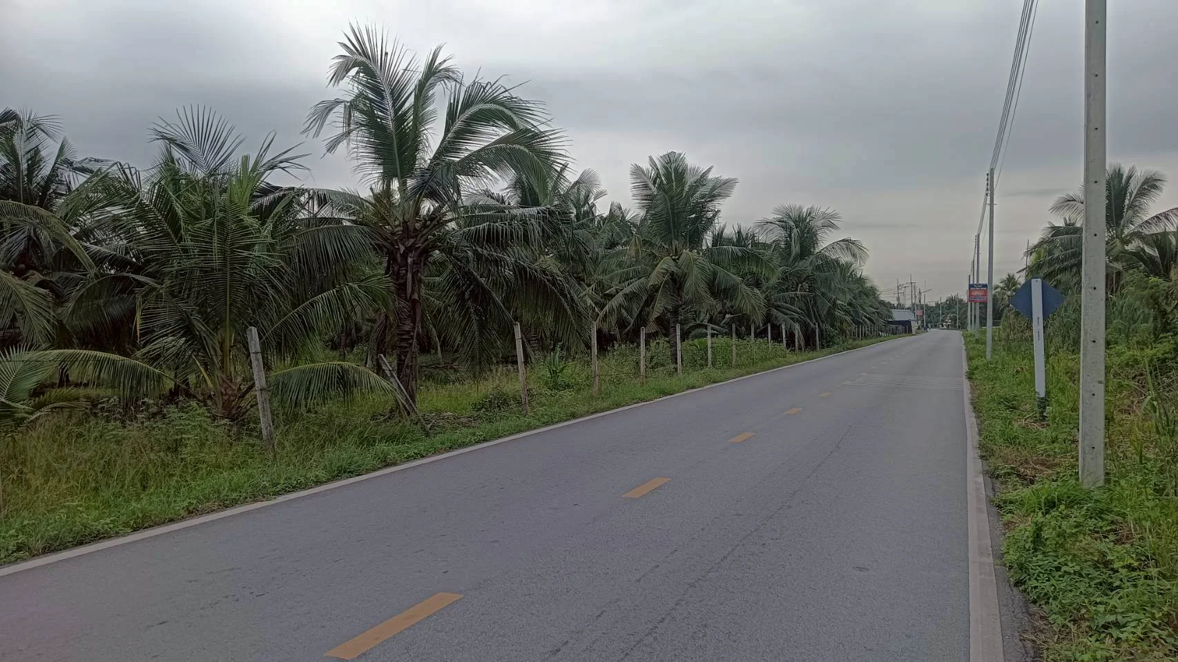 ขายที่ดินสวนมะพร้าว 19 ไร่ ติดคลองและถนนดำ บ้านแพ้ว ซอยทุ่งเศรษฐี สมุทรสาคร - image 3