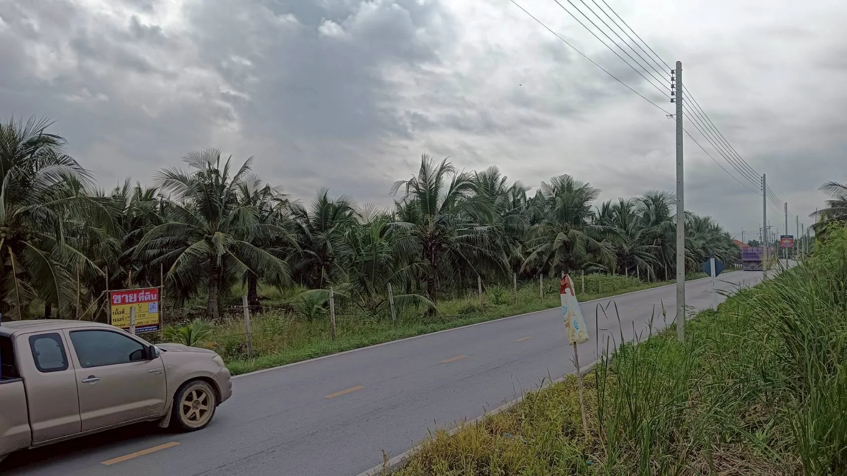 ขายที่ดินสวนมะพร้าว 19 ไร่ ติดคลองและถนนดำ บ้านแพ้ว ซอยทุ่งเศรษฐี สมุทรสาคร - image 4