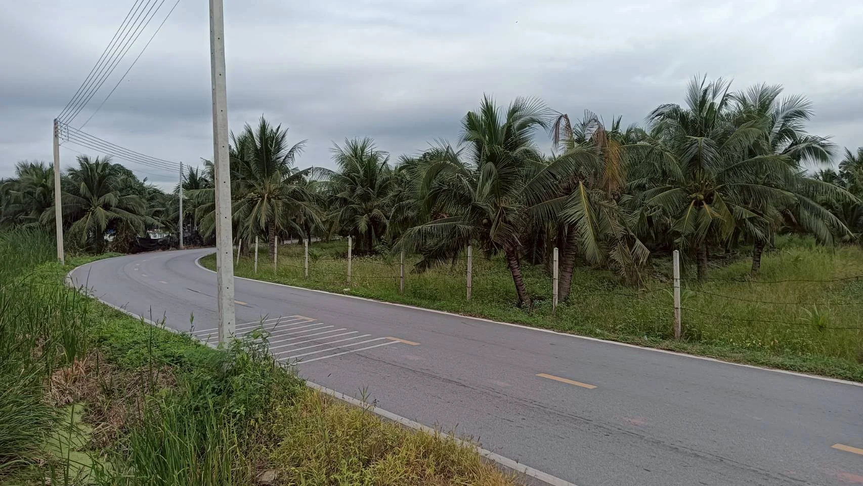 ขายที่ดินสวนมะพร้าว 19 ไร่ ติดคลองและถนนดำ บ้านแพ้ว ซอยทุ่งเศรษฐี สมุทรสาคร - image 5