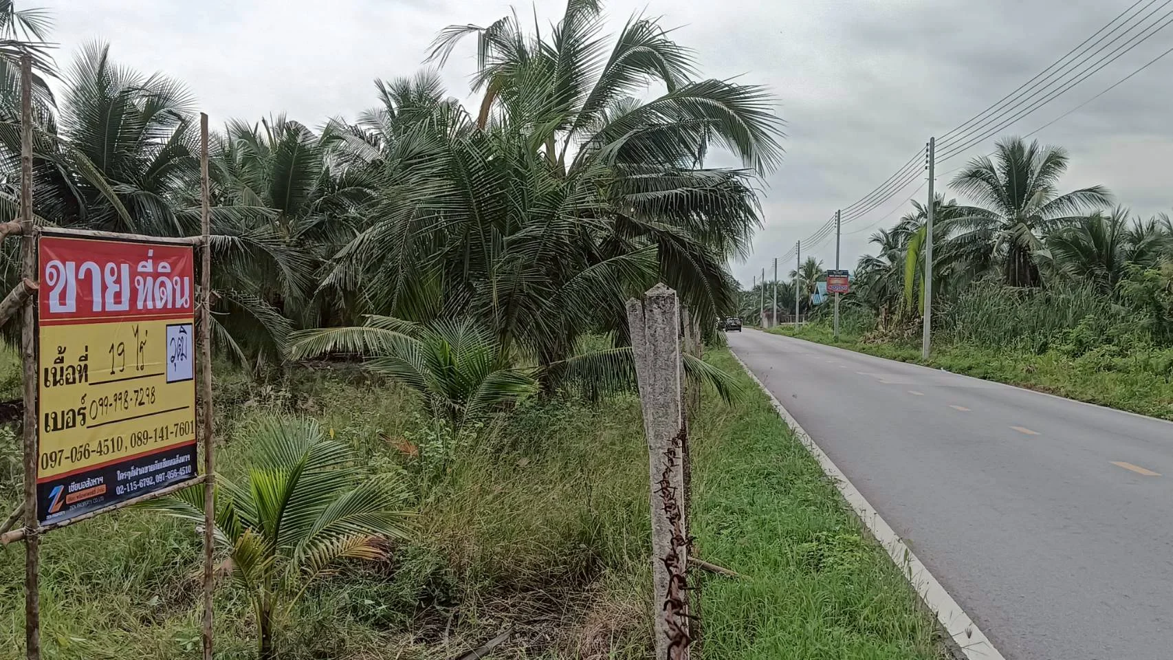 ขายที่ดินสวนมะพร้าว 19 ไร่ ติดคลองและถนนดำ บ้านแพ้ว ซอยทุ่งเศรษฐี สมุทรสาคร - image 6