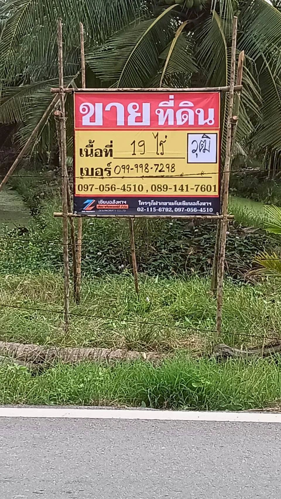 ขายที่ดินสวนมะพร้าว 19 ไร่ ติดคลองและถนนดำ บ้านแพ้ว ซอยทุ่งเศรษฐี สมุทรสาคร - image 8