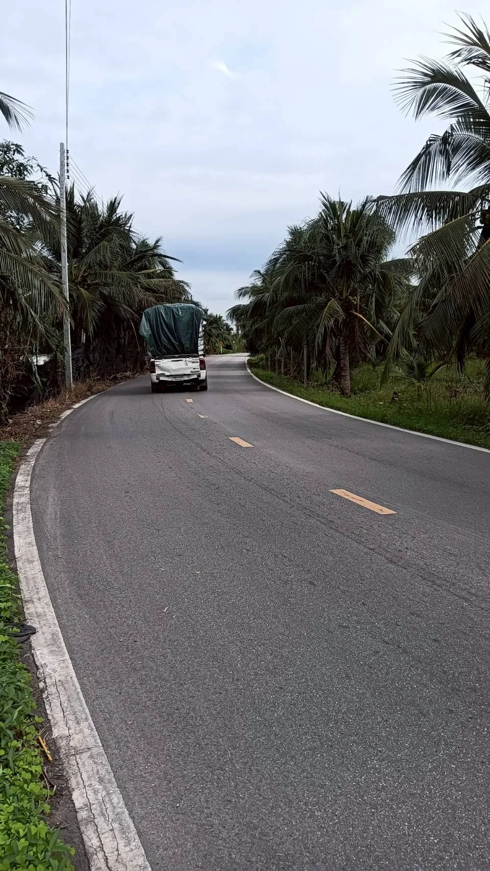 ขายที่ดินสวนมะพร้าว 19 ไร่ ติดคลองและถนนดำ บ้านแพ้ว ซอยทุ่งเศรษฐี สมุทรสาคร - image 7