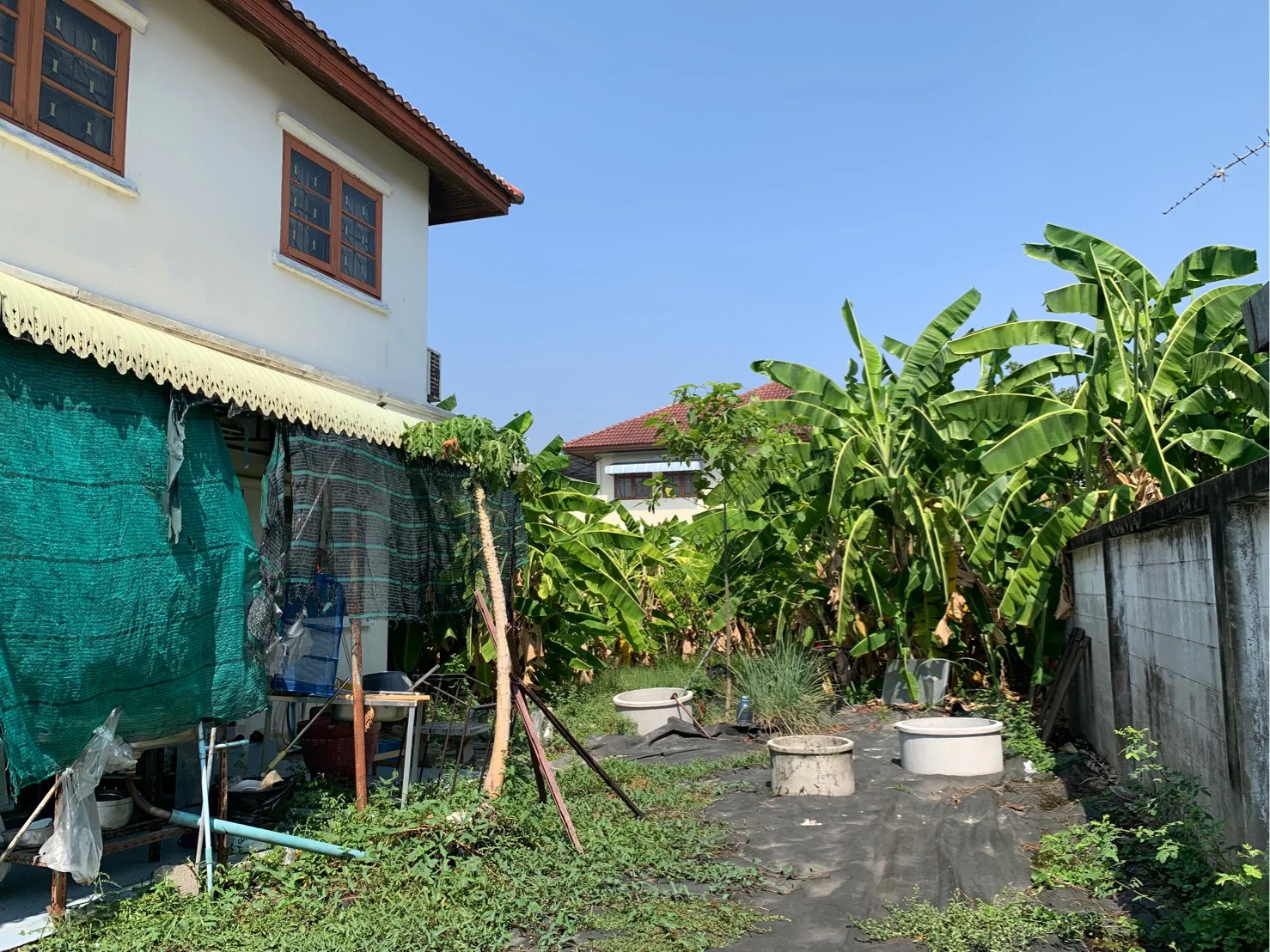 ขายบ้านเดี่ยว 2 ชั้น 101 ตรว. โครงการหมู่บ้านซื่อตรง ดอนเมือง ใกล้ BTS คูคต บรรยากาศดี เงียบสงบ - image 8