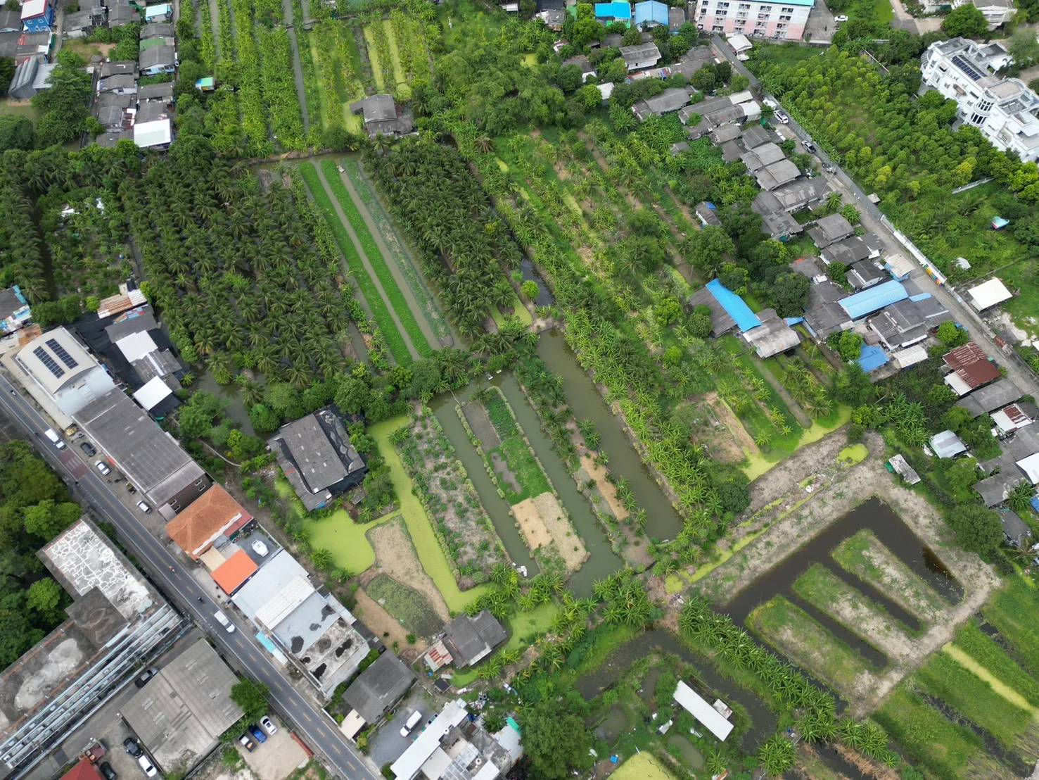 ขายที่ดิน 5 ไร่ 77.3 ตร.วา ซอยเพชรเกษม 108/2 หนองแขม กรุงเทพ - image 4