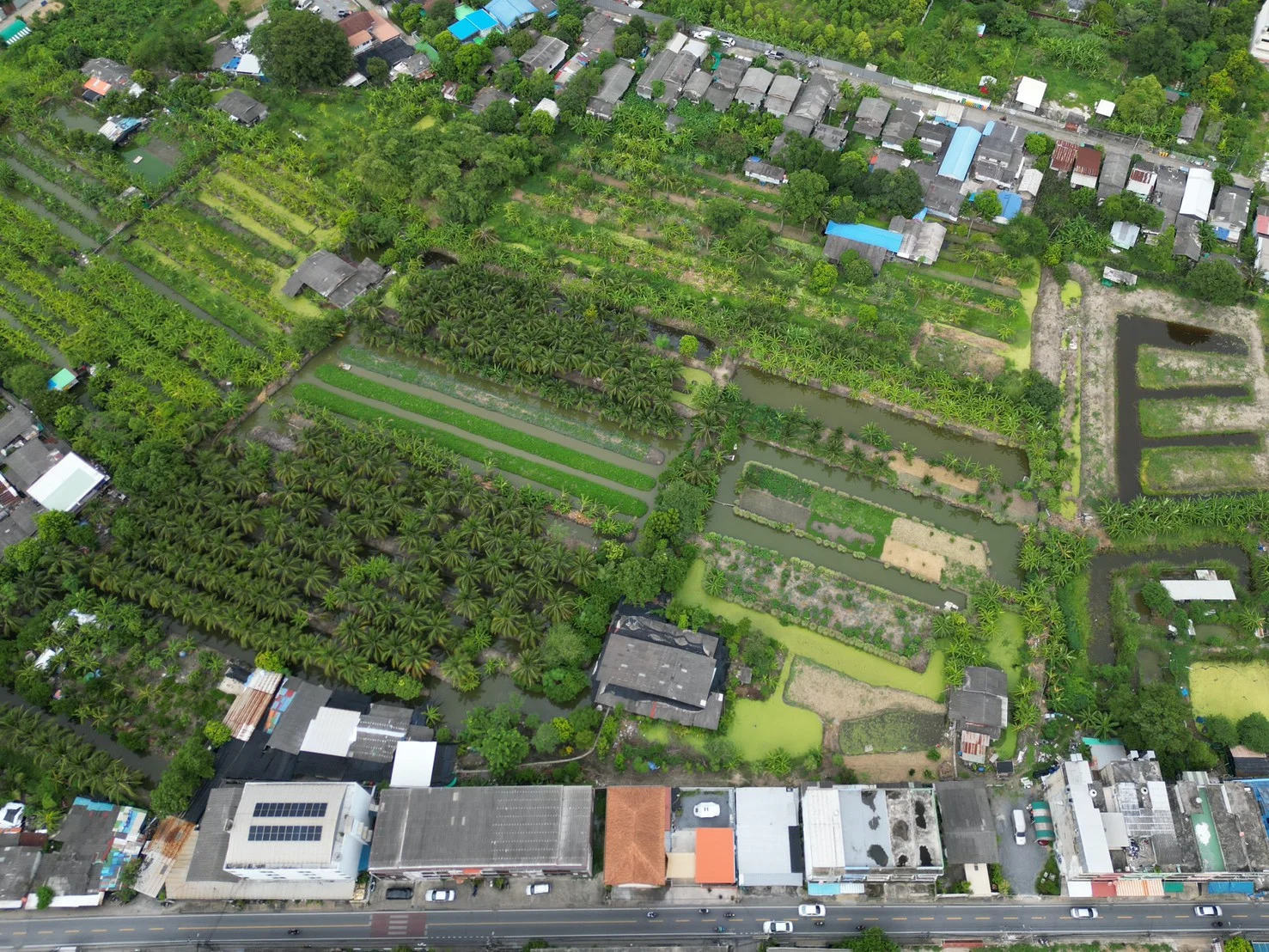 ขายที่ดิน 5 ไร่ 77.3 ตร.วา ซอยเพชรเกษม 108/2 หนองแขม กรุงเทพ - image 5