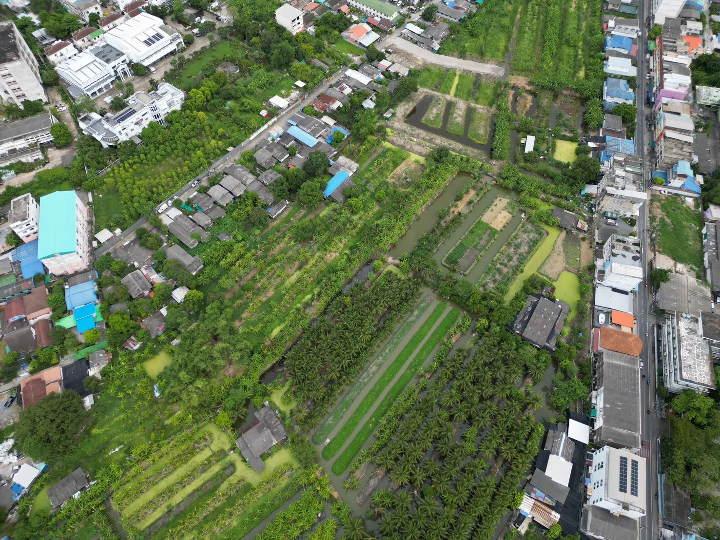 ขายที่ดิน 5 ไร่ 77.3 ตร.วา ซอยเพชรเกษม 108/2 หนองแขม กรุงเทพ - image 6