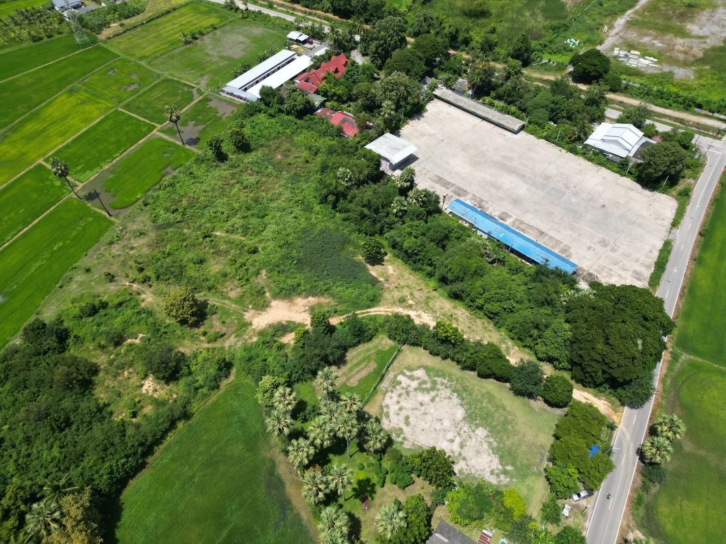 ขายที่ดิน เขาย้อยเพชรบุรี เนื้อที่ 8 ไร่ 62 ตร.วา ถนนสุวรรณดำริ บางเค็ม เพชรบุรี - image 7