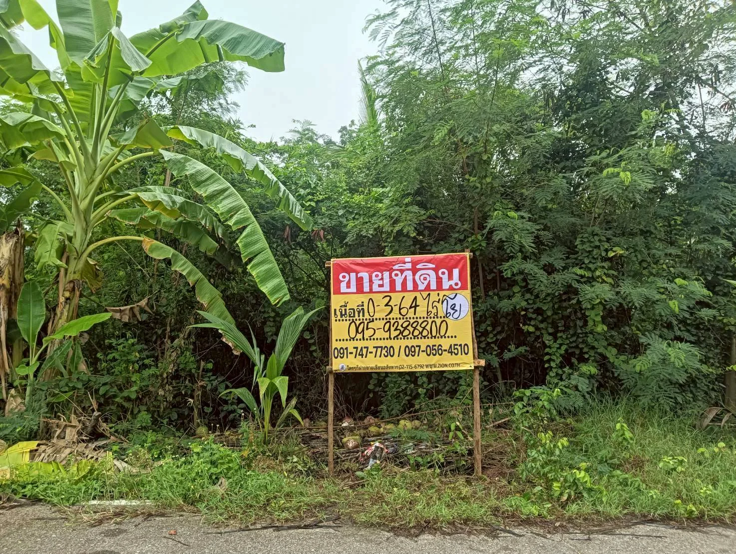 ขายที่ดิน 364 ตร.ว. ทำเลสวย ธรรมชาติ รมรื่น ปลายโพงพาง อัมพวา สมุทรสงคราม ใกล้เส้นถนนพระราม2 ZW615
