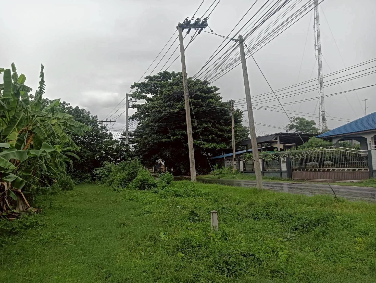 ขายที่ดินสวย 9-0-3 ไร่ ทำเลสวย ใกล้แหล่งชุมชน ท่ามะกา กาญจนบุรี ZW599 - image 5