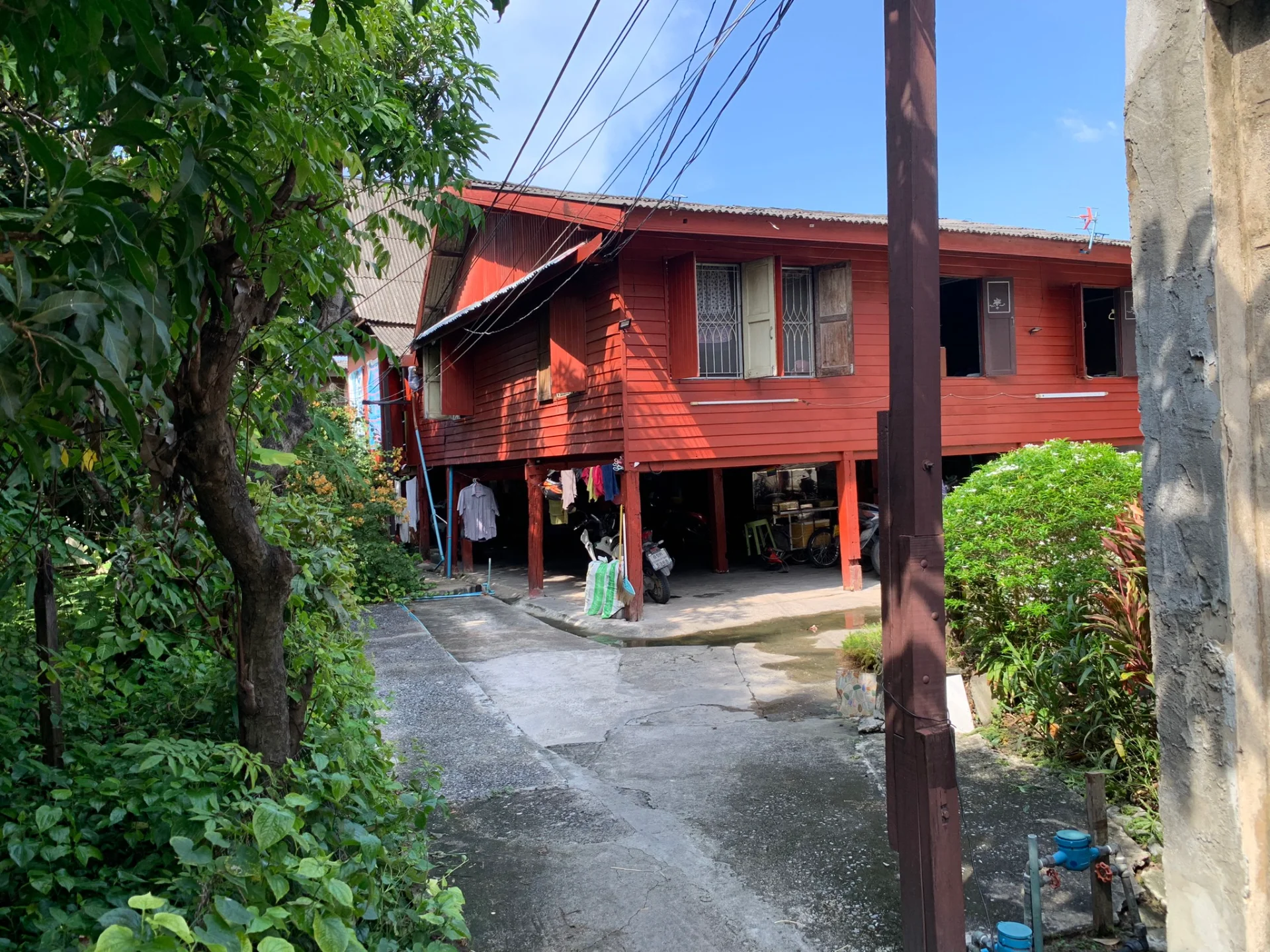 ขายที่ดินพร้อมสิ่งปลูกสร้าง สุขุมวิท81 เนื้อที่ 1-2-48 ไร่ ผังสีแดง ใกล้รถไฟฟ้า - image 6