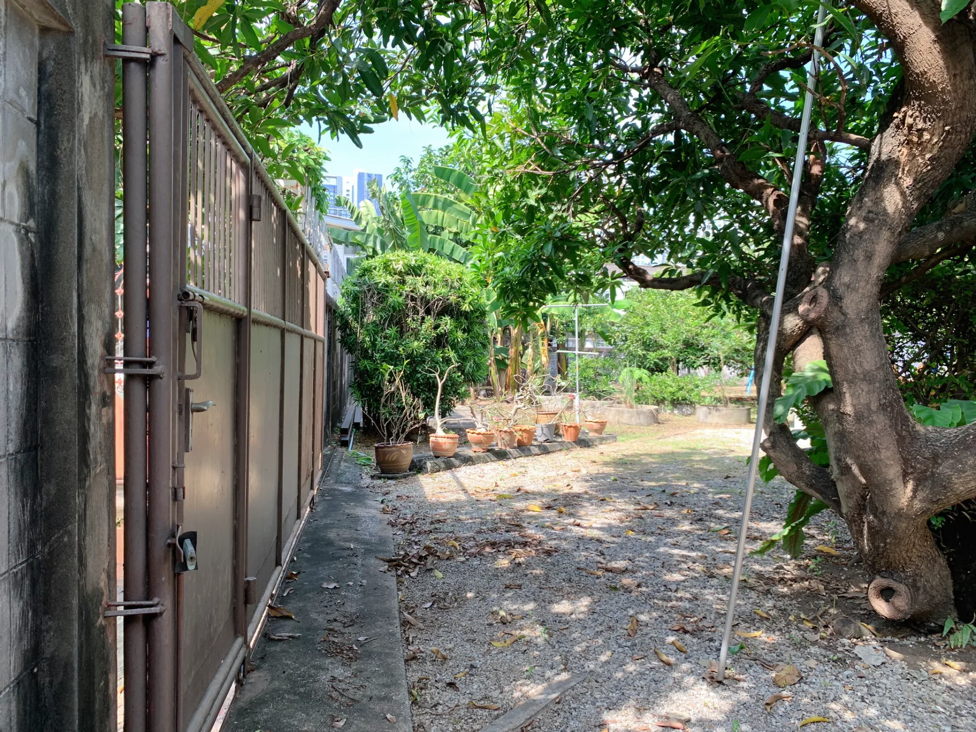 ขายที่ดินพร้อมสิ่งปลูกสร้าง สุขุมวิท81 เนื้อที่ 1-2-48 ไร่ ผังสีแดง ใกล้รถไฟฟ้า - image 8