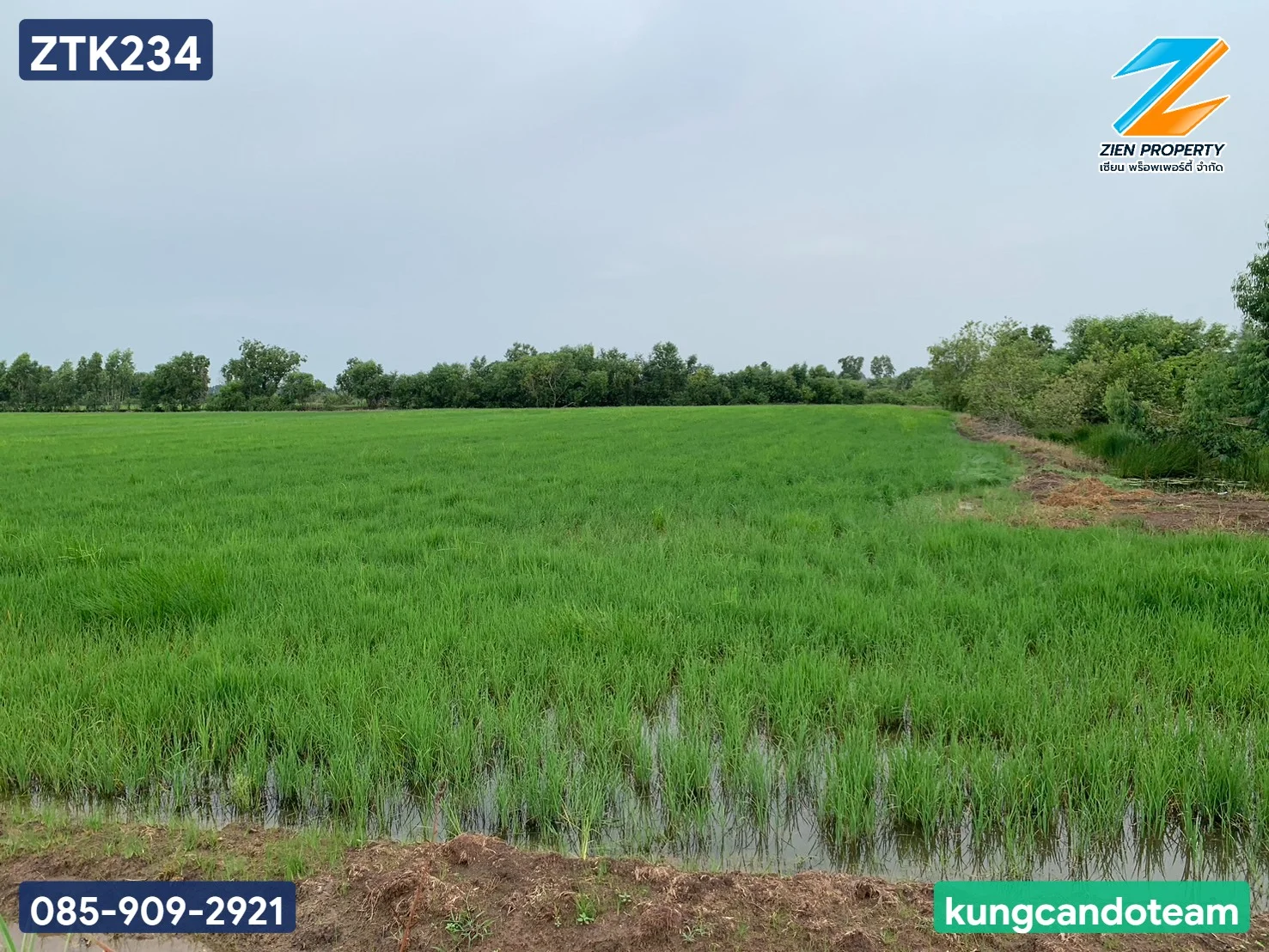 ขายที่ดินผืนใหญ่! 83 ไร่ 1 งาน 24 ตร.ว. ทำเลดี ใกล้ตัวเมืองปราจีนบุรี หน้ากว้างติดถนนประมาณ 240 เมตร ทำเลศักยภาพสูงใน ตำบลท่างาม อำเภอเมือง จังหวัดปราจีนบุรี - image 2