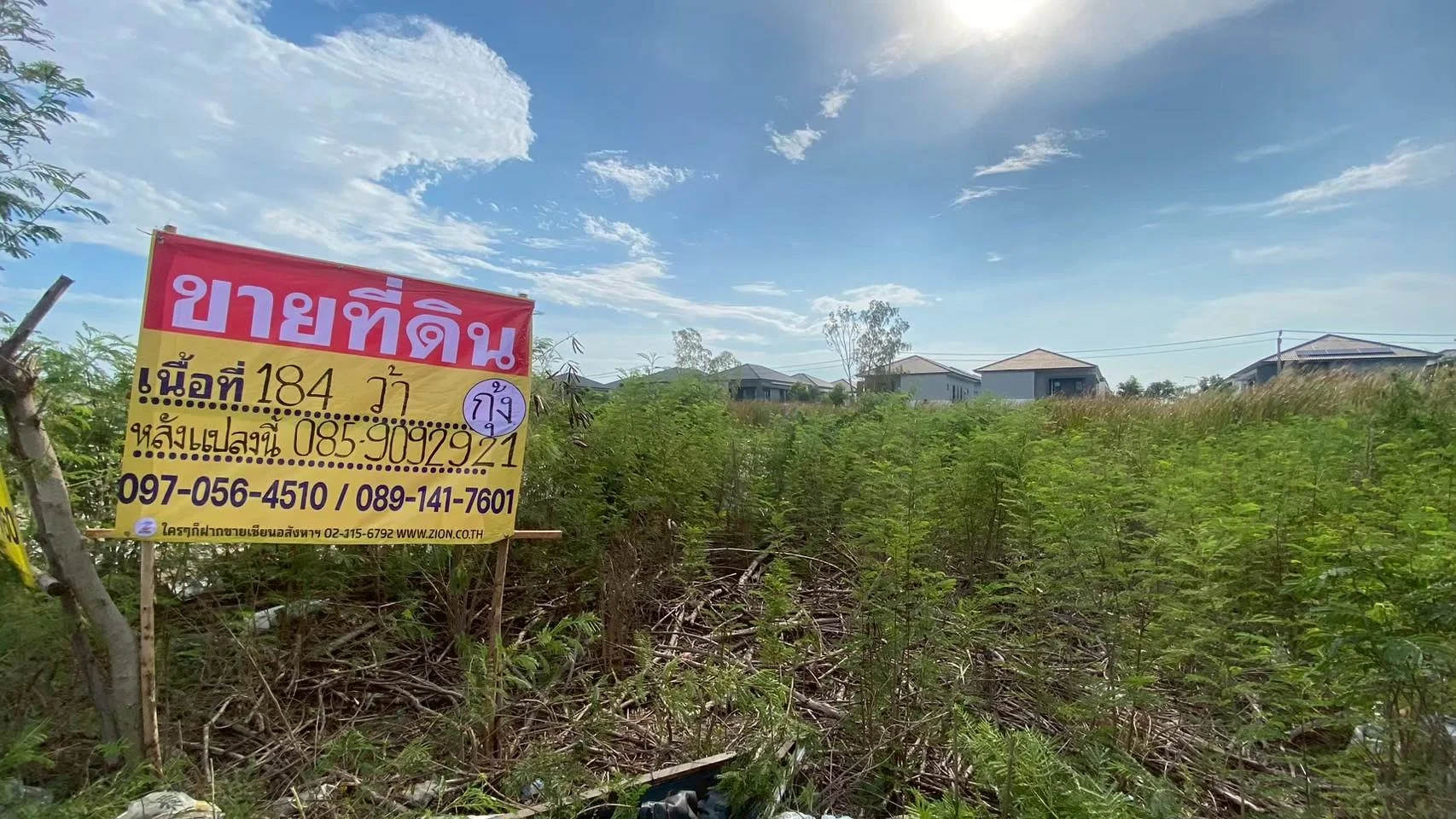 ขายที่ดินบางแก้ว 192 ตร.วา ซอยคอนโดอารียา ราคาถูก ใกล้เมกะบางนา สวยพร้อมพัฒนา! - image 2