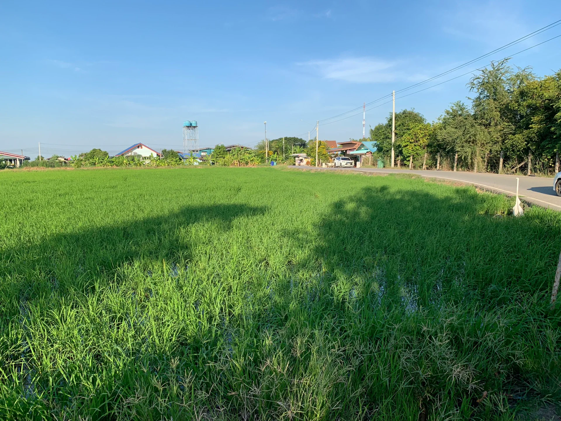 ขายที่ดิน 15-3-88 ไร่ แหล่งชุมชน ใกล้อบต.หนองจอก บางปะกง - image 6