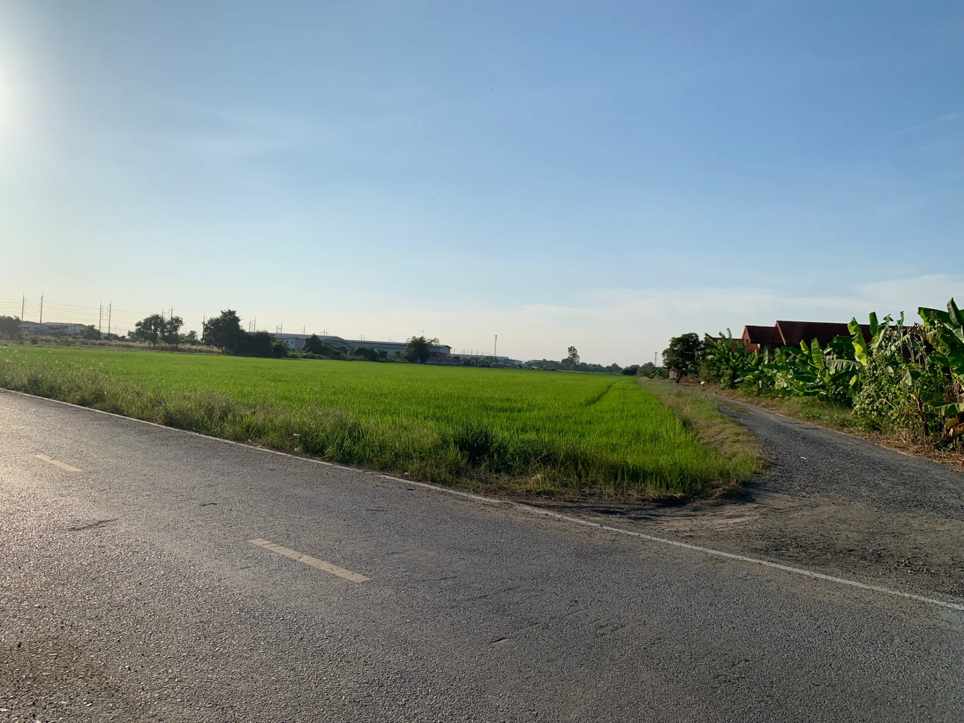 ขายที่ดิน 15-3-88 ไร่ แหล่งชุมชน ใกล้อบต.หนองจอก บางปะกง - image 8