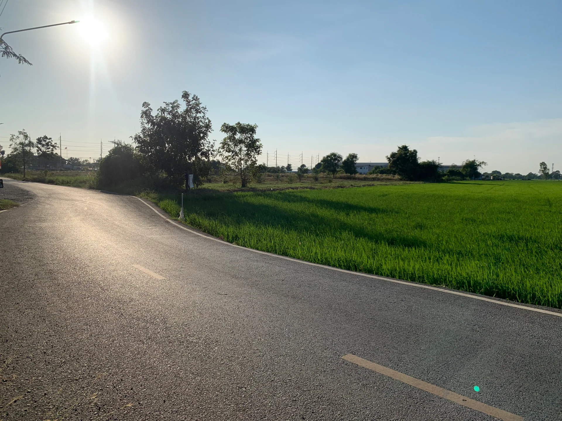 ขายที่ดิน 15-3-88 ไร่ แหล่งชุมชน ใกล้อบต.หนองจอก บางปะกง - image 9