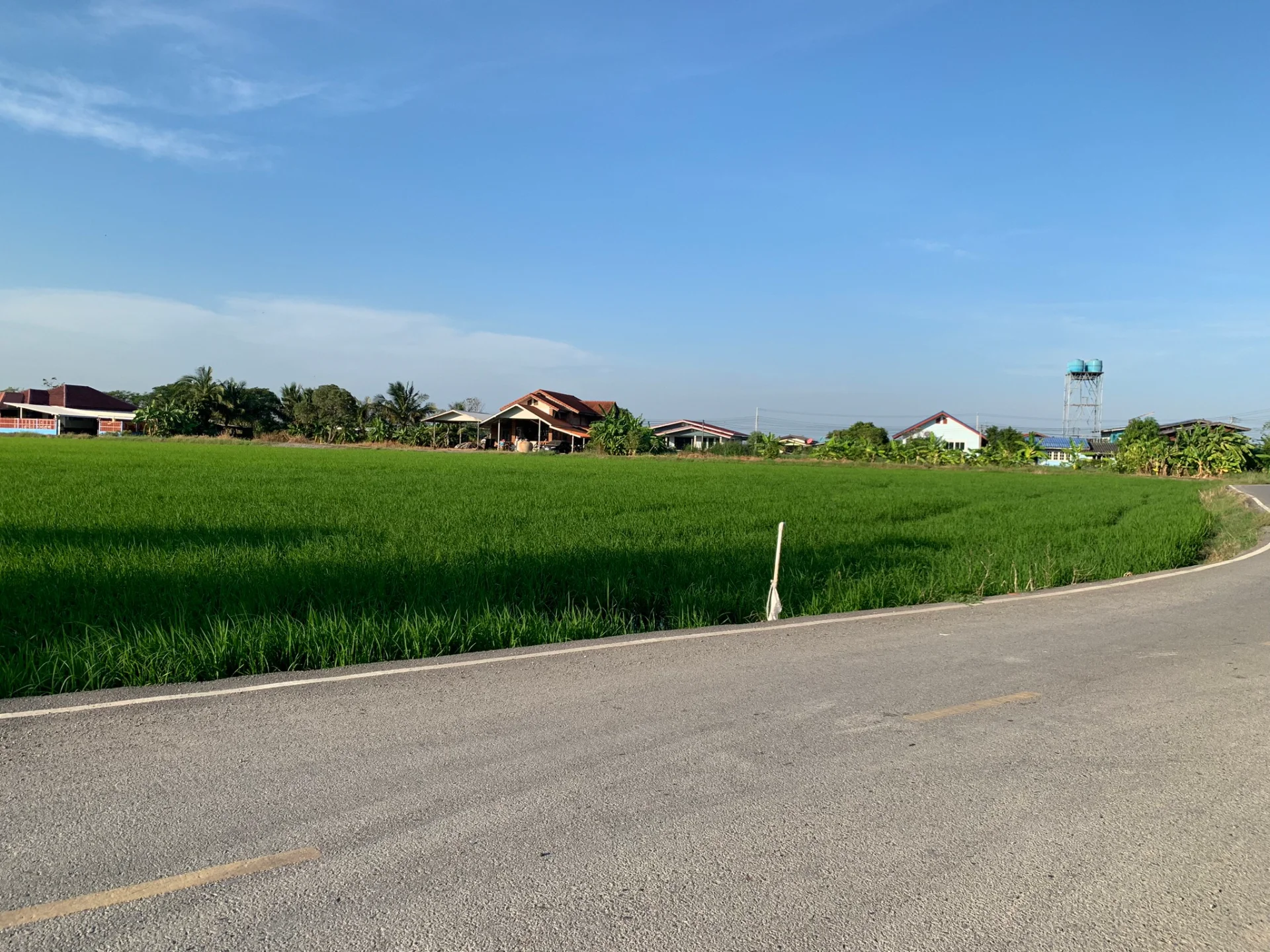 ขายที่ดิน 15-3-88 ไร่ แหล่งชุมชน ใกล้อบต.หนองจอก บางปะกง - image 10