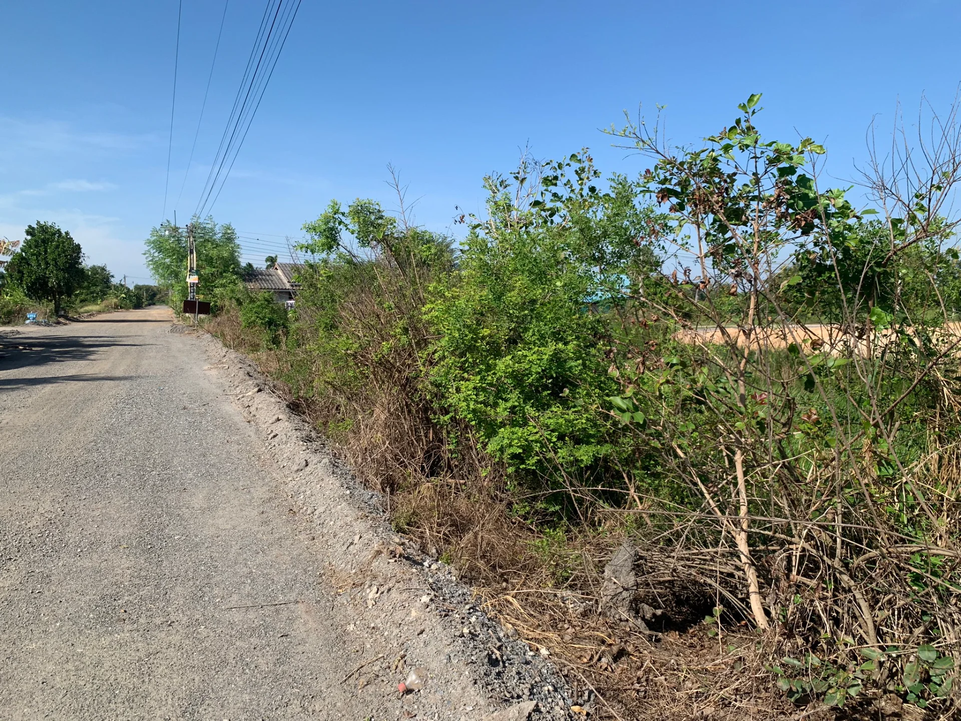 ขายที่ดิน 300 ตรว. ท่าข้าม อ.พนัสนิคม ชลบุรี แปลงมุมสี่แยก ติดถนน 2 ด้าน - image 5
