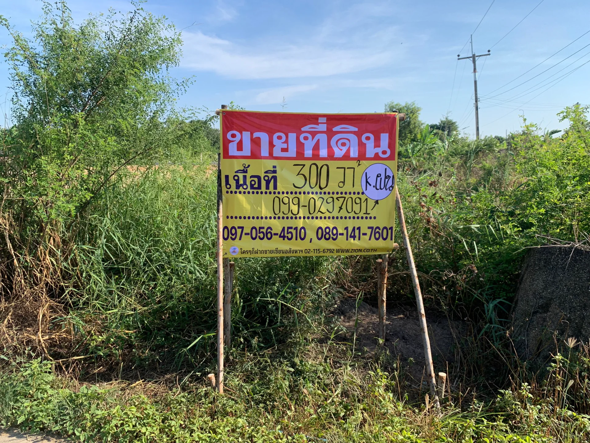 ขายที่ดิน 300 ตรว. ท่าข้าม อ.พนัสนิคม ชลบุรี แปลงมุมสี่แยก ติดถนน 2 ด้าน - image 9