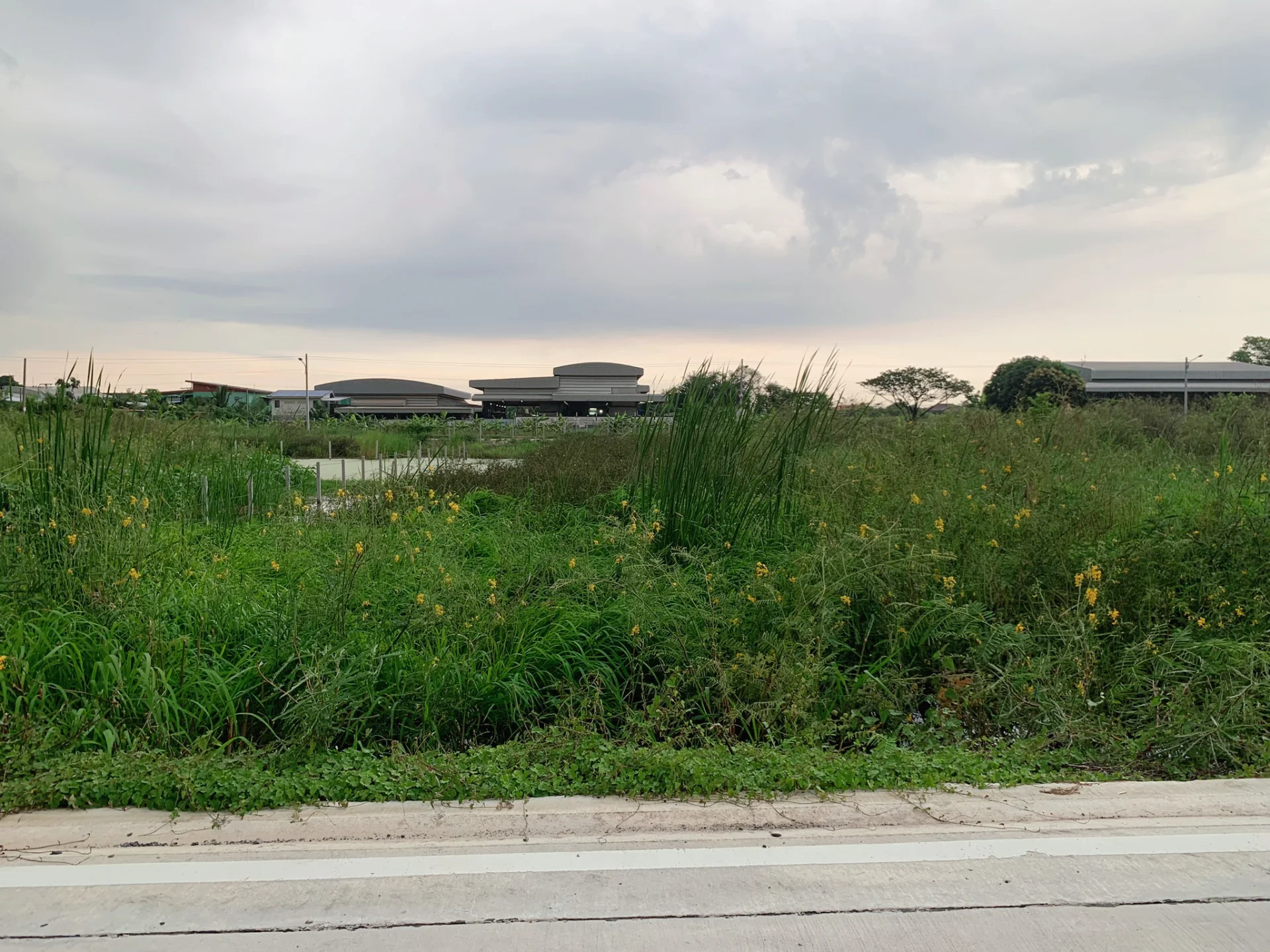 ขายที่ดิน 1 ไร่ คลองสอง ราคาถูก ผังเมืองสีเหลือง เหมาะสร้างบ้าน - image 5